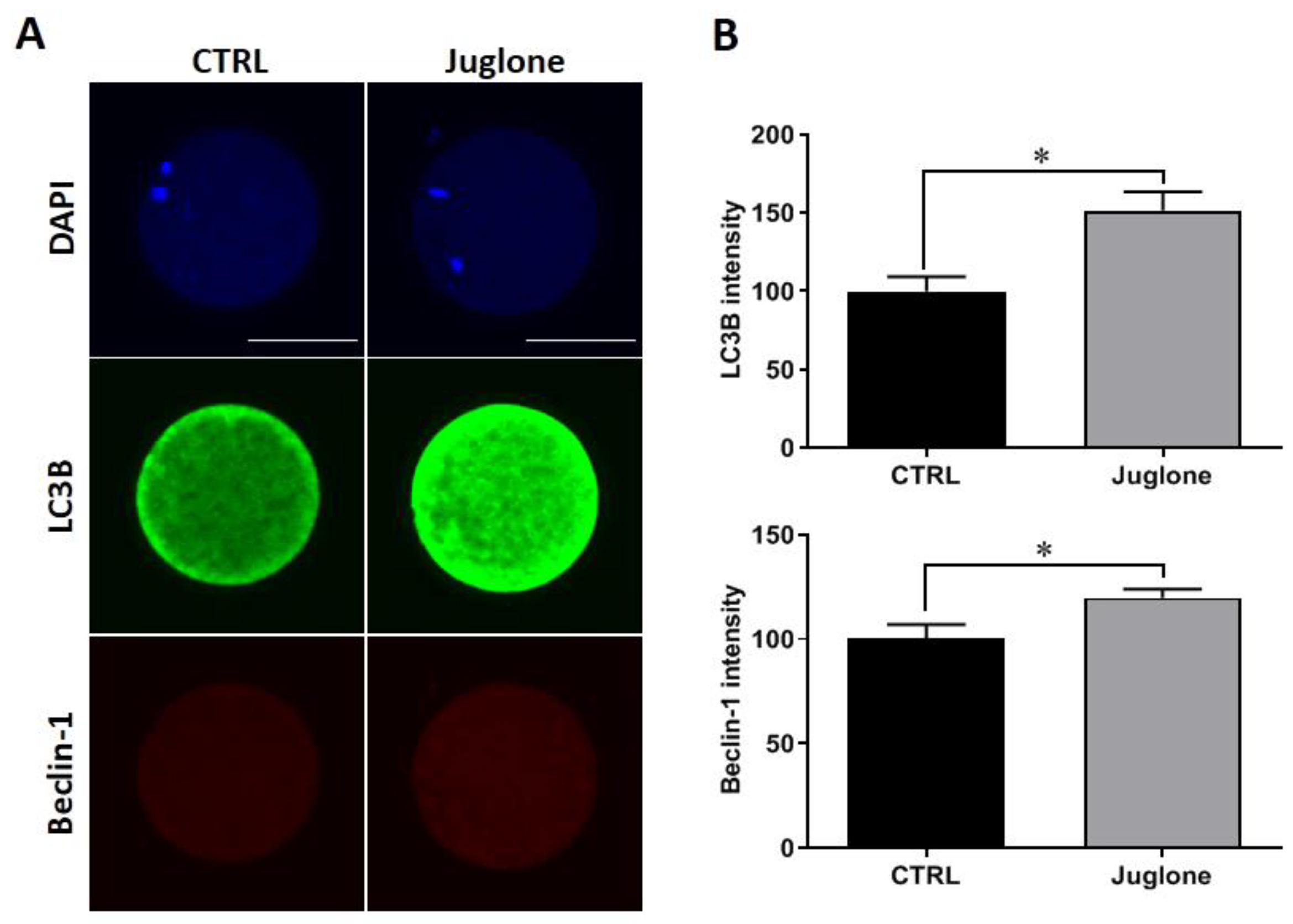 Antioxidants 12 00114 g003