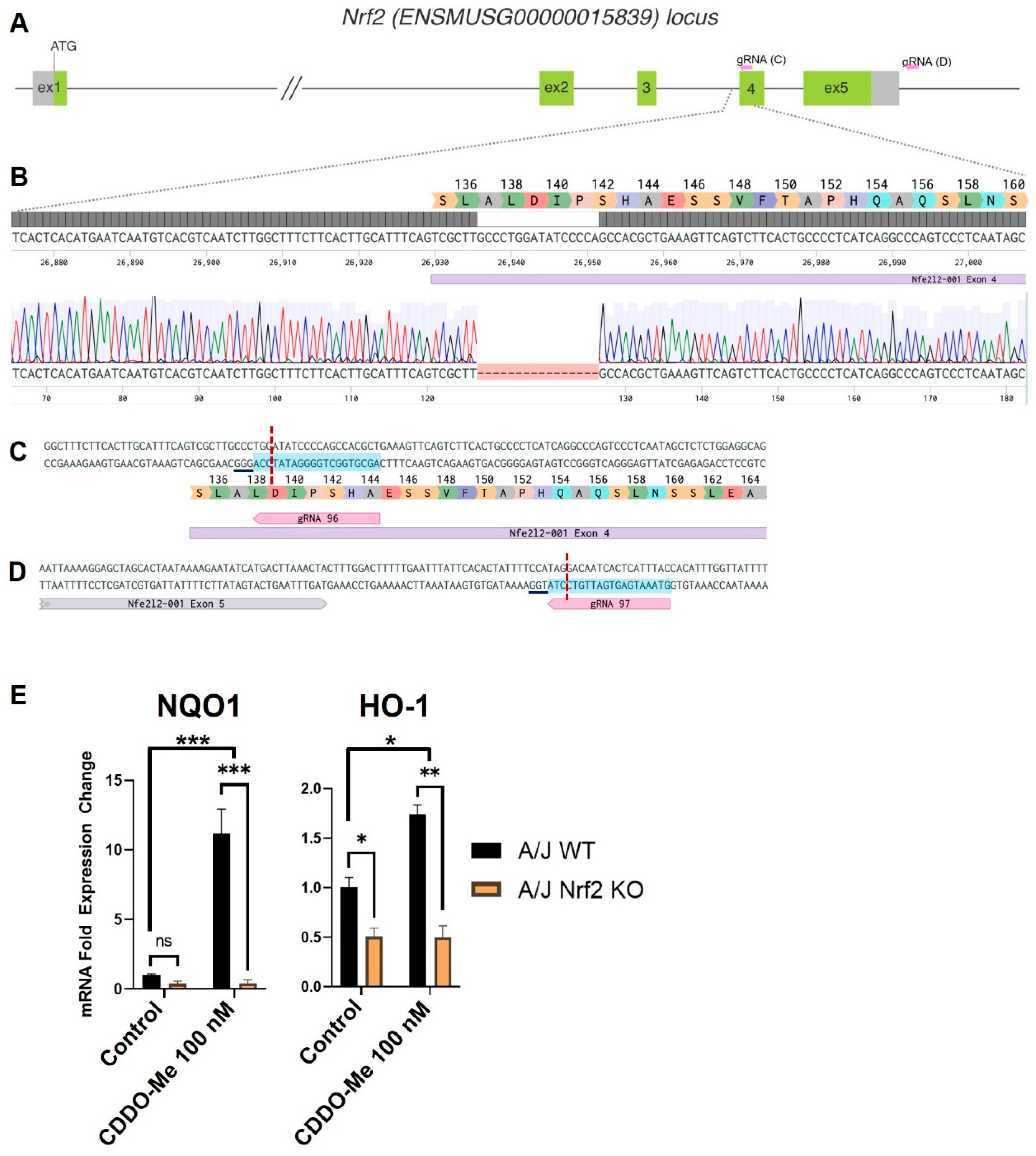 Antioxidants 12 00116 g001 Antioxidants 12 00116 g001