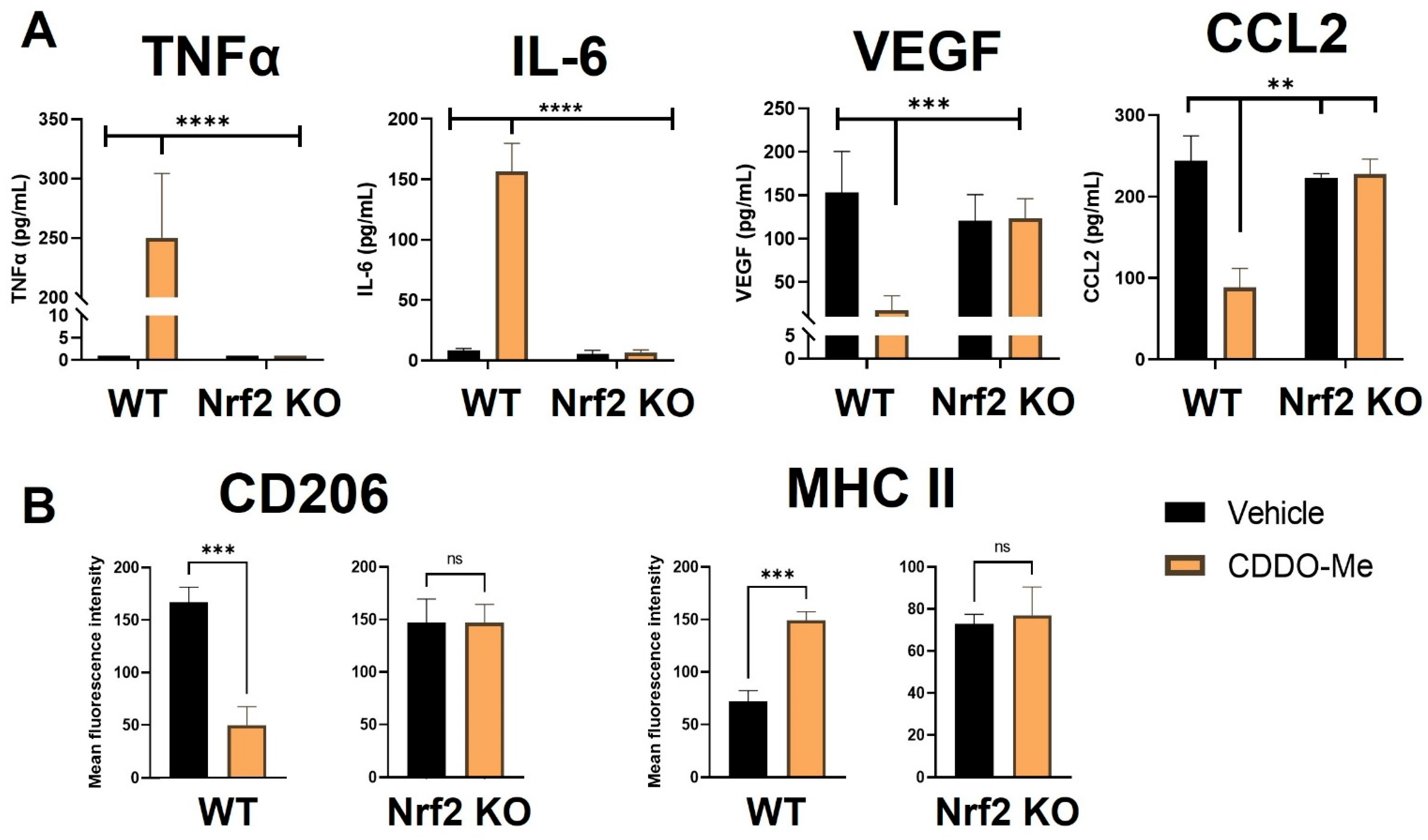 Antioxidants 12 00116 g003 Antioxidants 12 00116 g003
