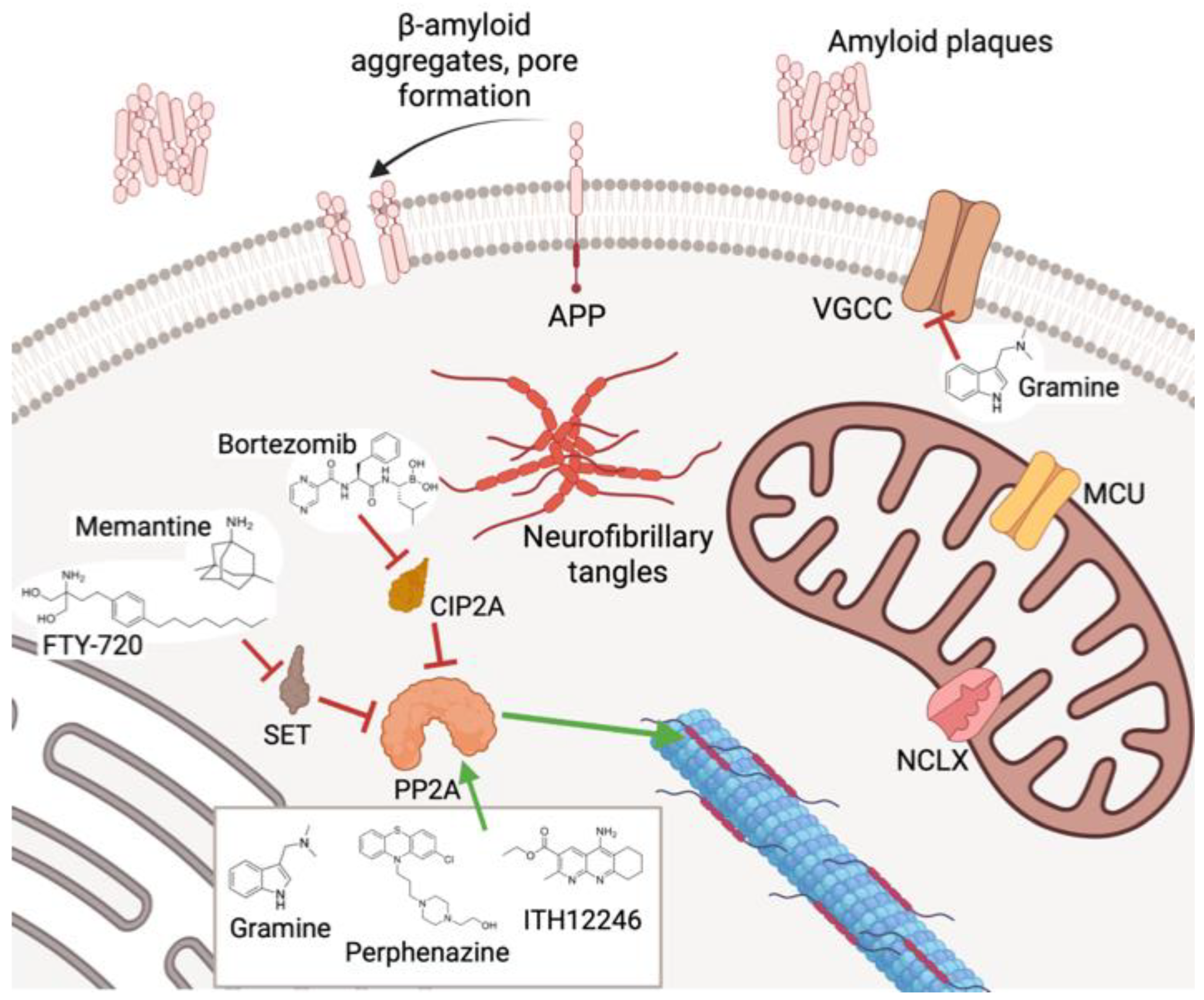 Antioxidants 12 00118 g011 Antioxidants 12 00118 g011