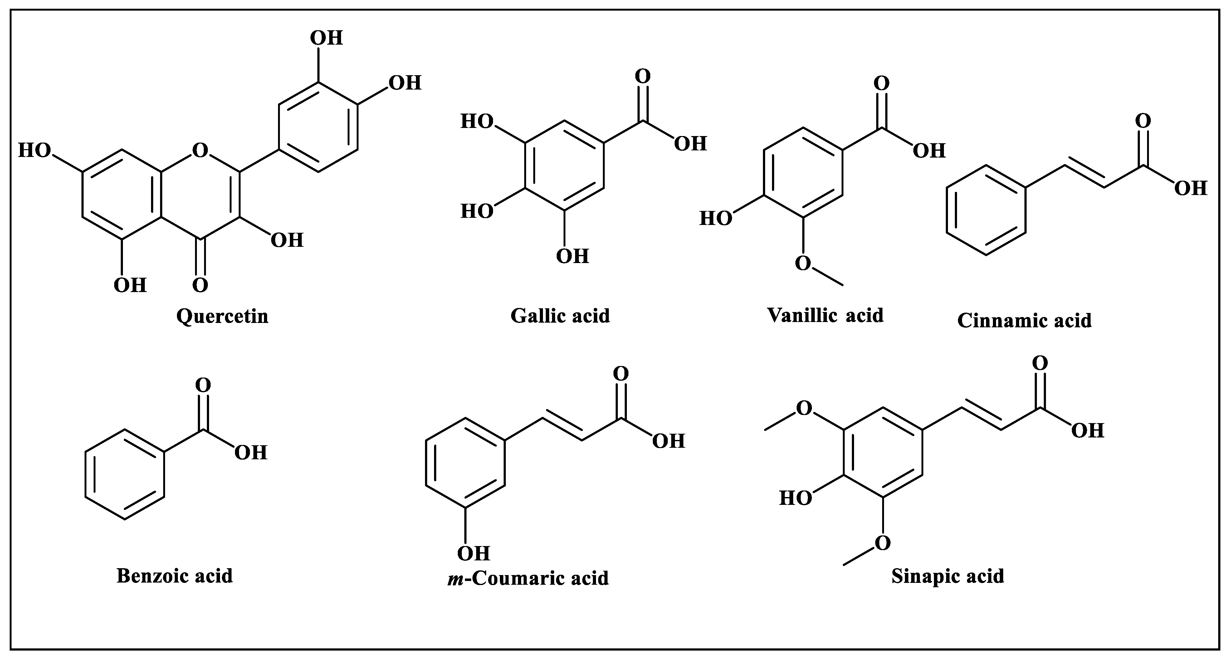 Antioxidants 12 00119 g001