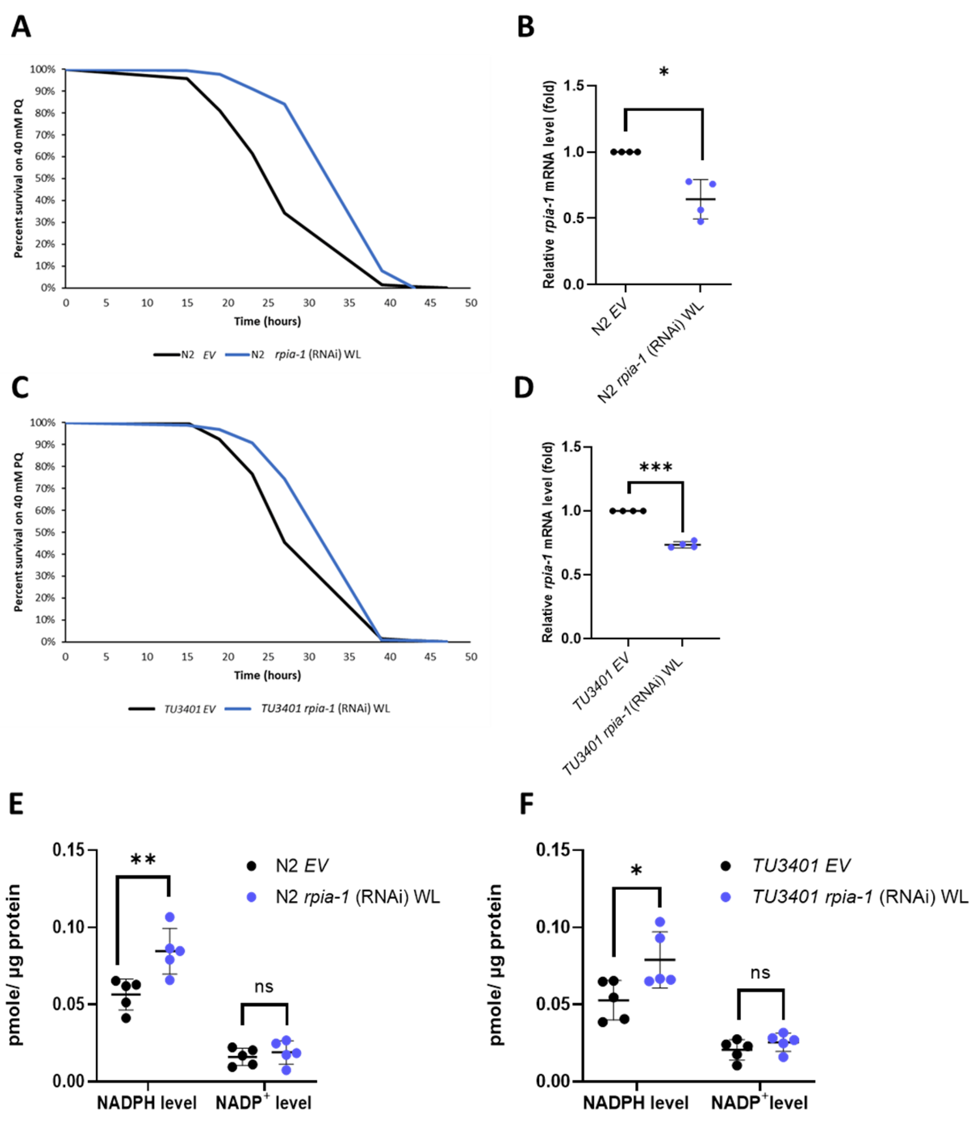 Antioxidants 12 00124 g001