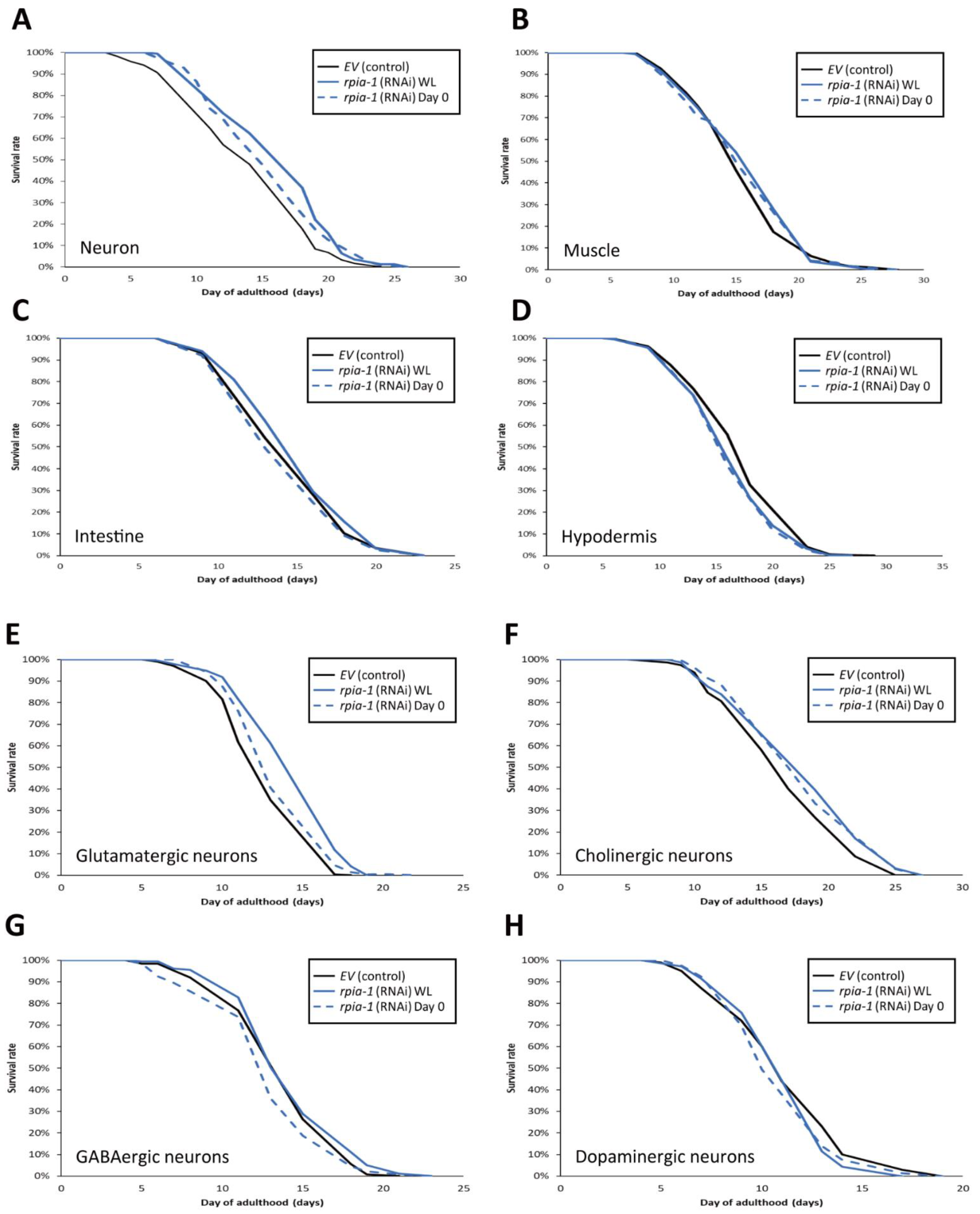 Antioxidants 12 00124 g004