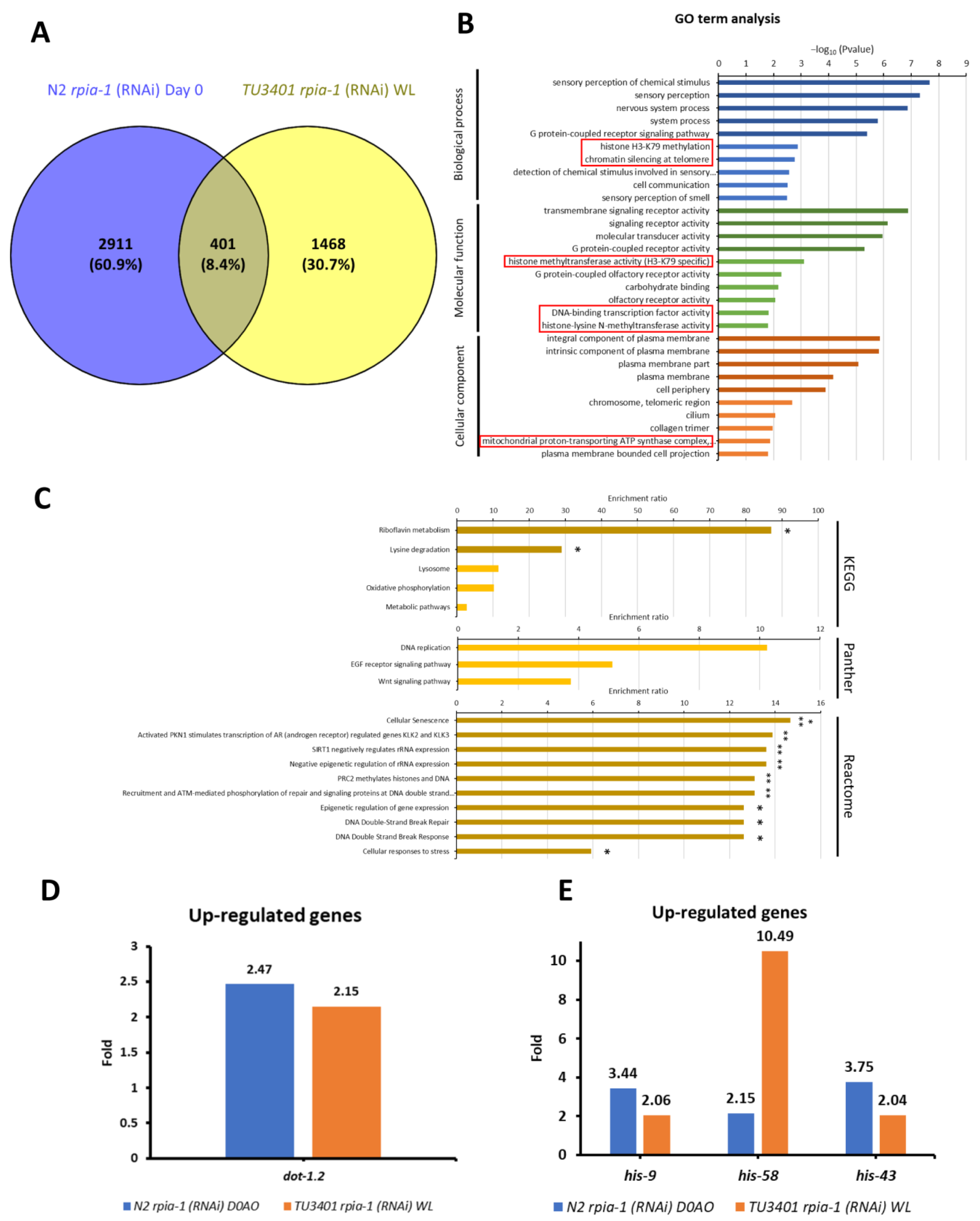 Antioxidants 12 00124 g007