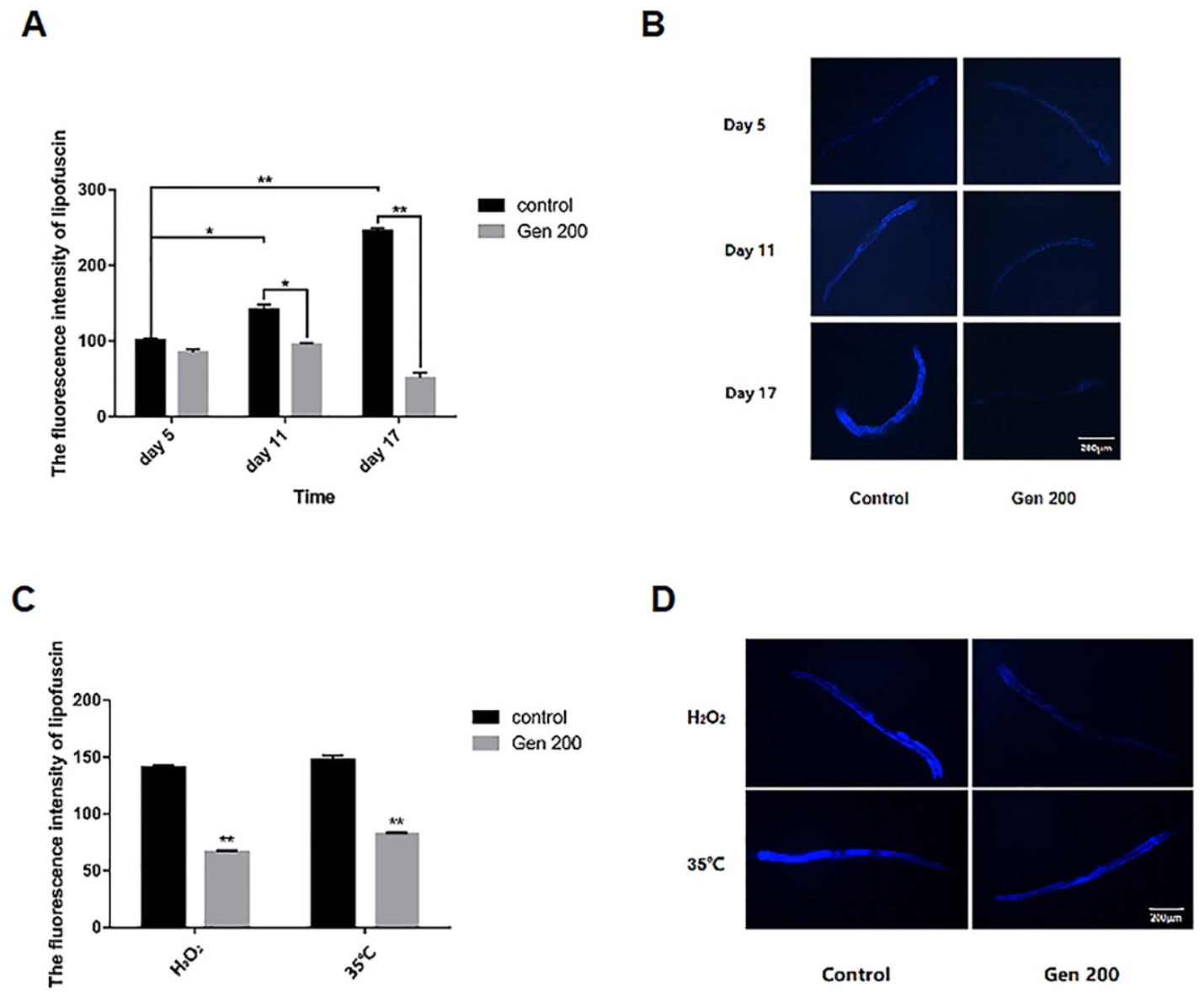 Antioxidants 12 00125 g002 Antioxidants 12 00125 g002