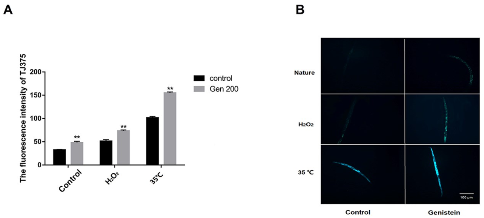 Antioxidants 12 00125 g006 Antioxidants 12 00125 g006