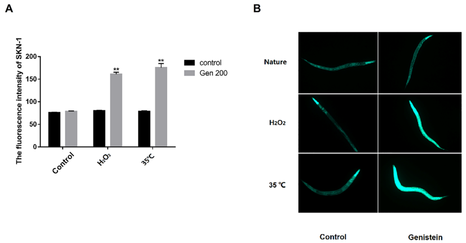 Antioxidants 12 00125 g007 Antioxidants 12 00125 g007