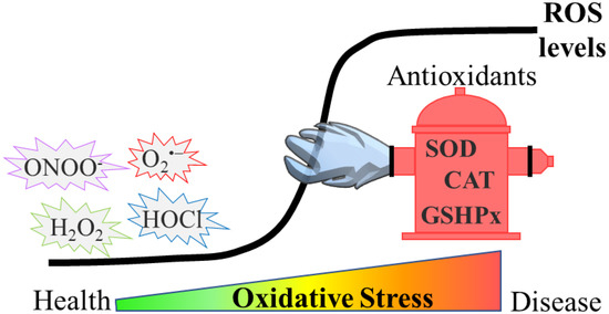 Oxidative Stress in Age-Related Neurodegenerative Diseases