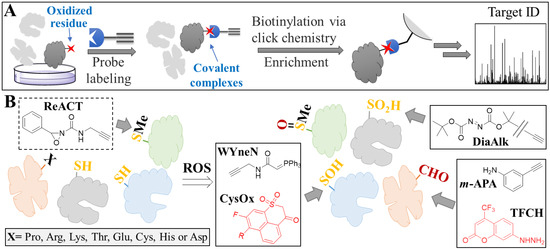 Oxidative Stress in Age-Related Neurodegenerative Diseases