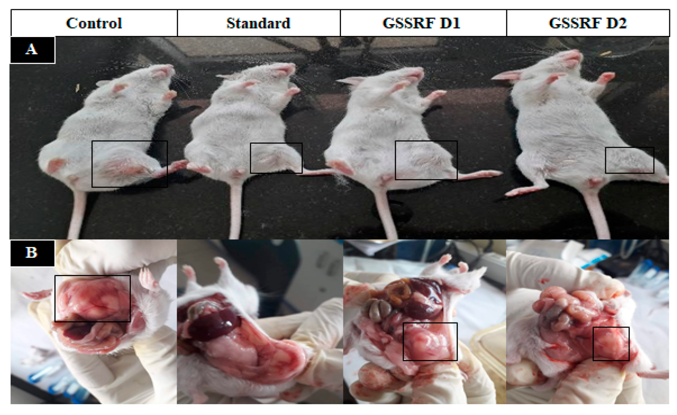 Antioxidants 12 00134 g004 Antioxidants 12 00134 g004