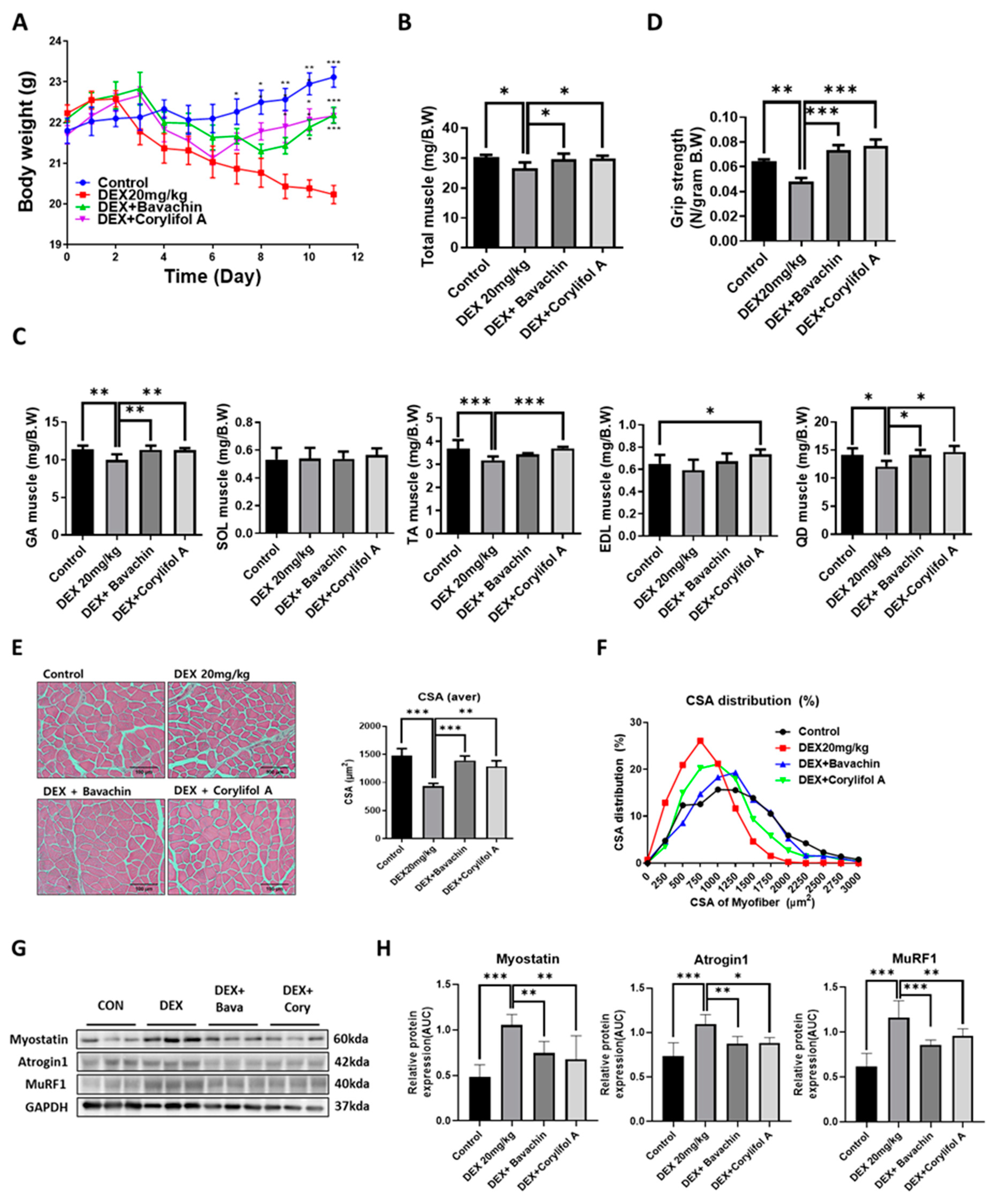 Antioxidants 12 00137 g001 Antioxidants 12 00137 g001