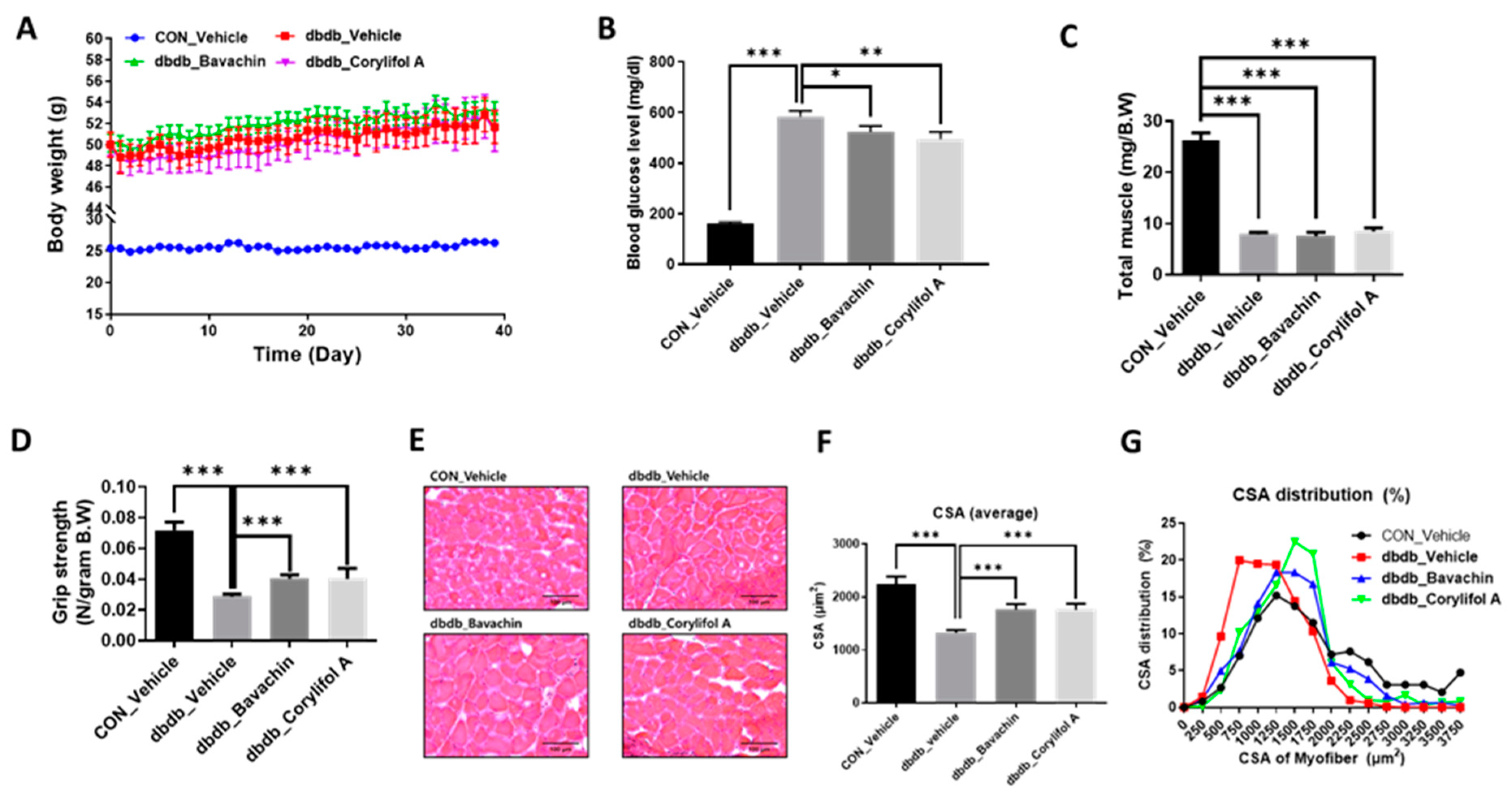 Antioxidants 12 00137 g002 Antioxidants 12 00137 g002