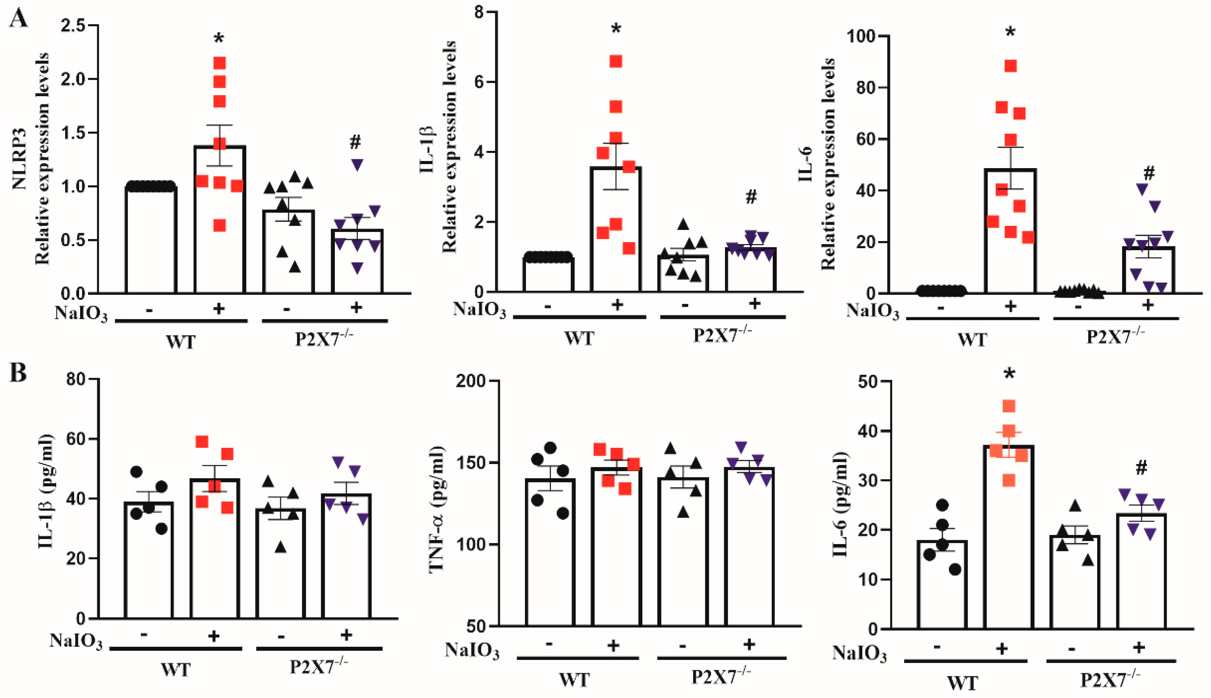 Antioxidants 12 00141 g005