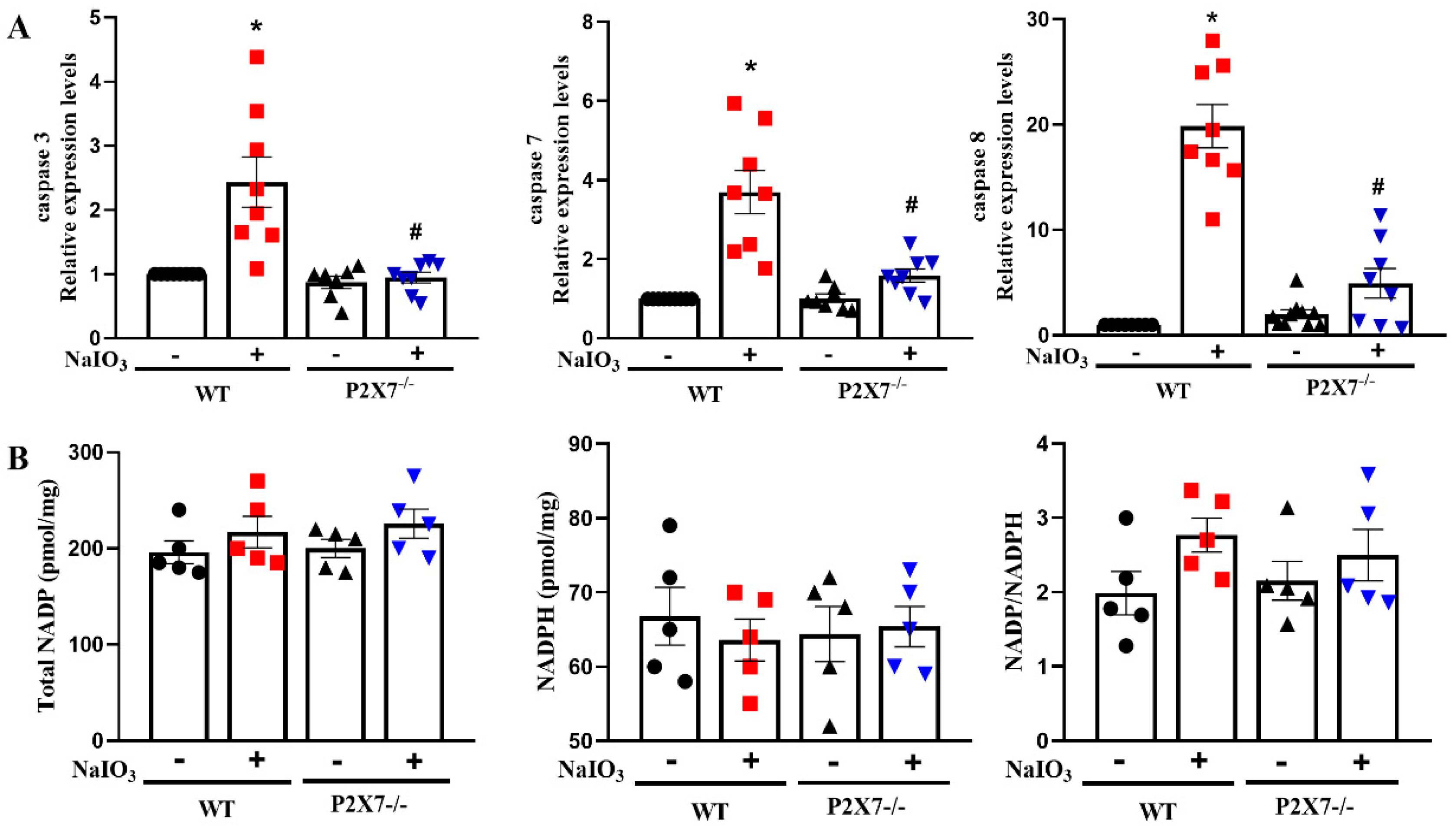 Antioxidants 12 00141 g006