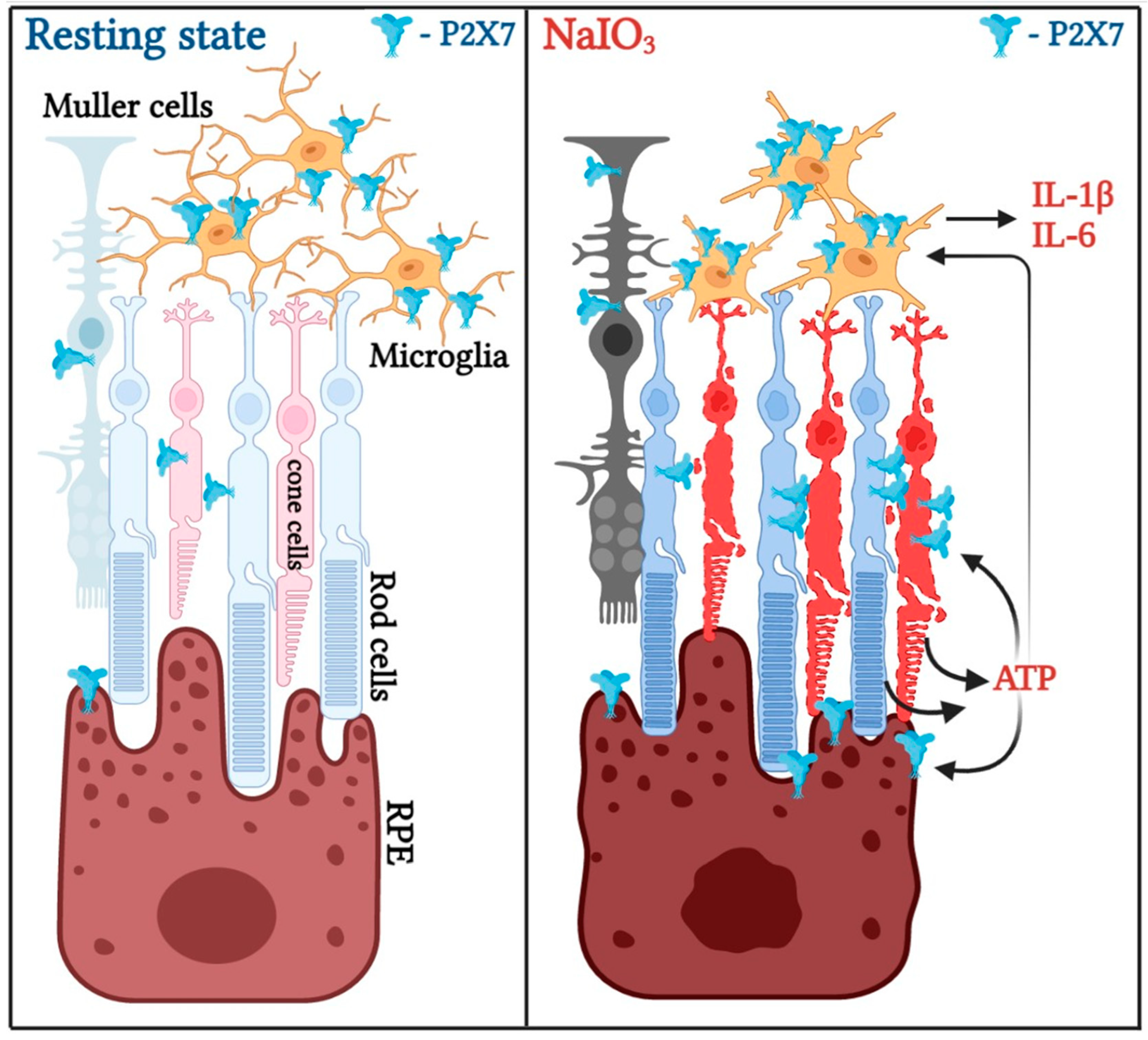 Antioxidants 12 00141 g009