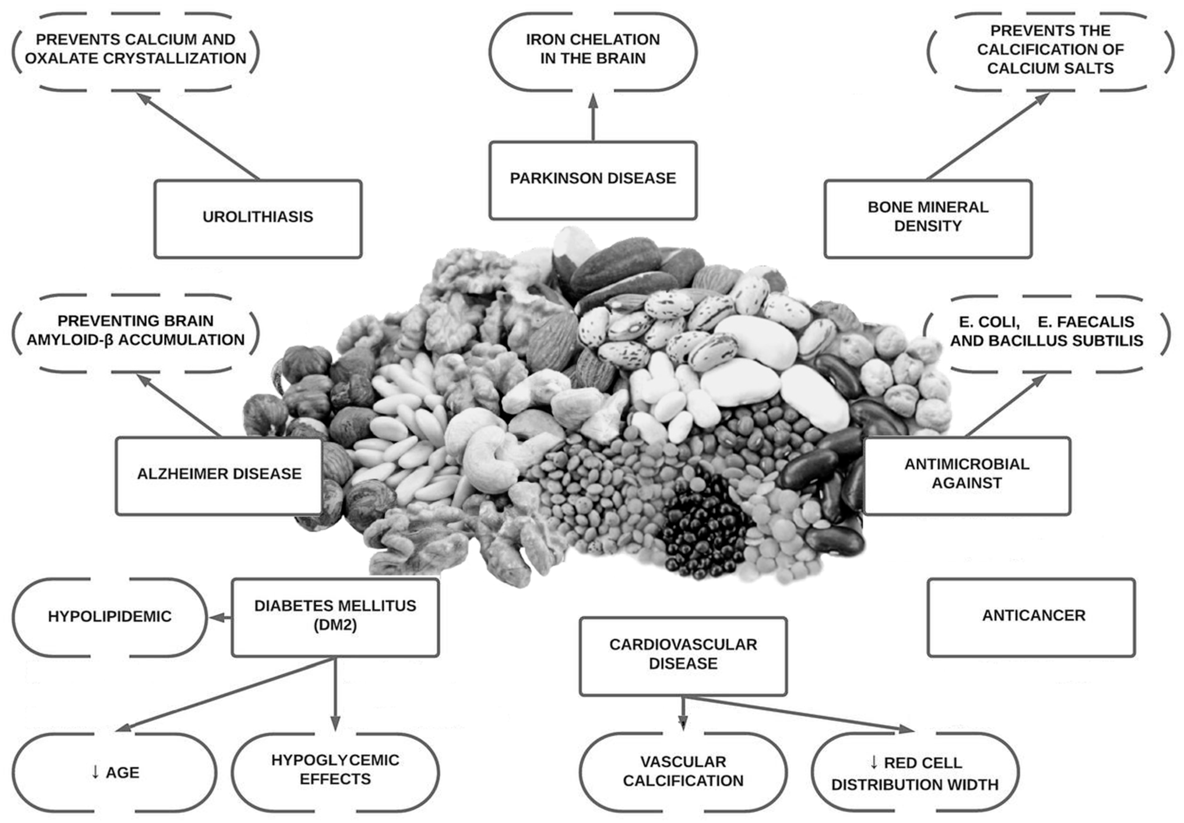 Antioxidants 12 00146 g001 550