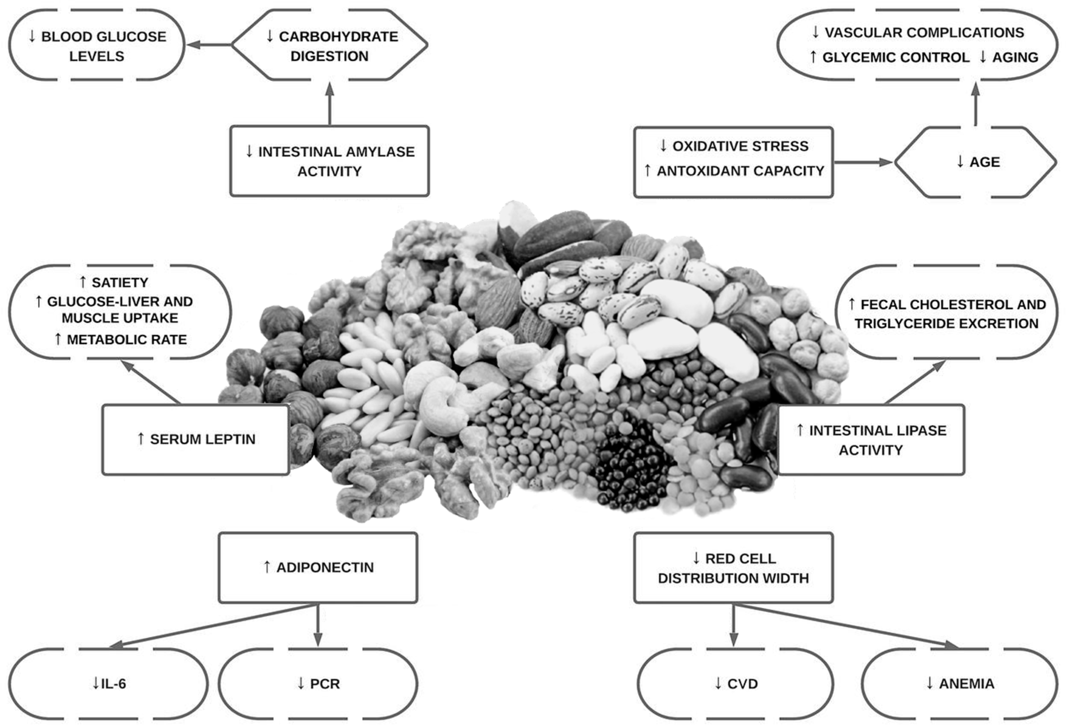 Phytate type 2 diabetes mellitus and cardiovascular health