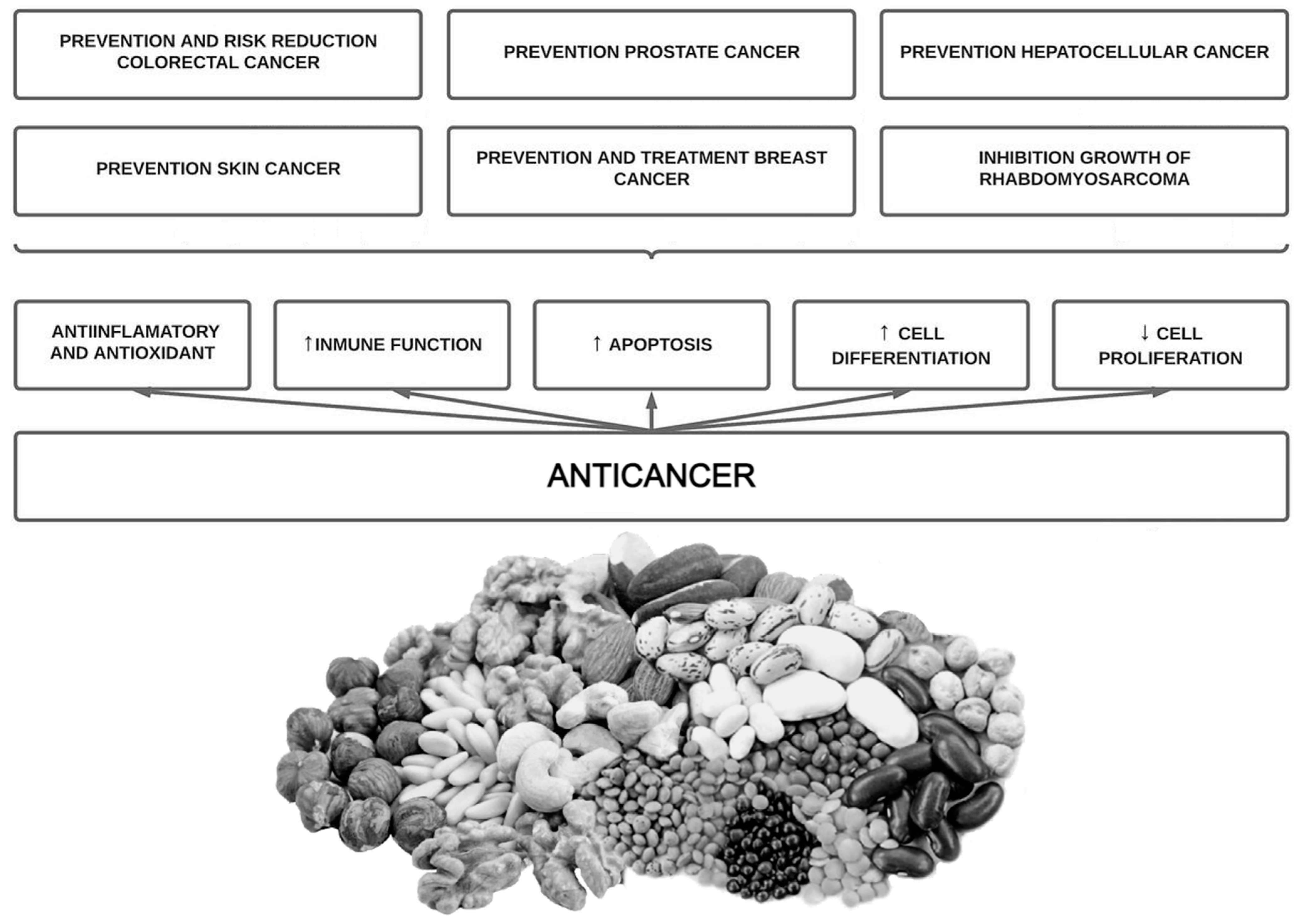 Antioxidants 12 00146 g003 Antioxidants 12 00146 g003
