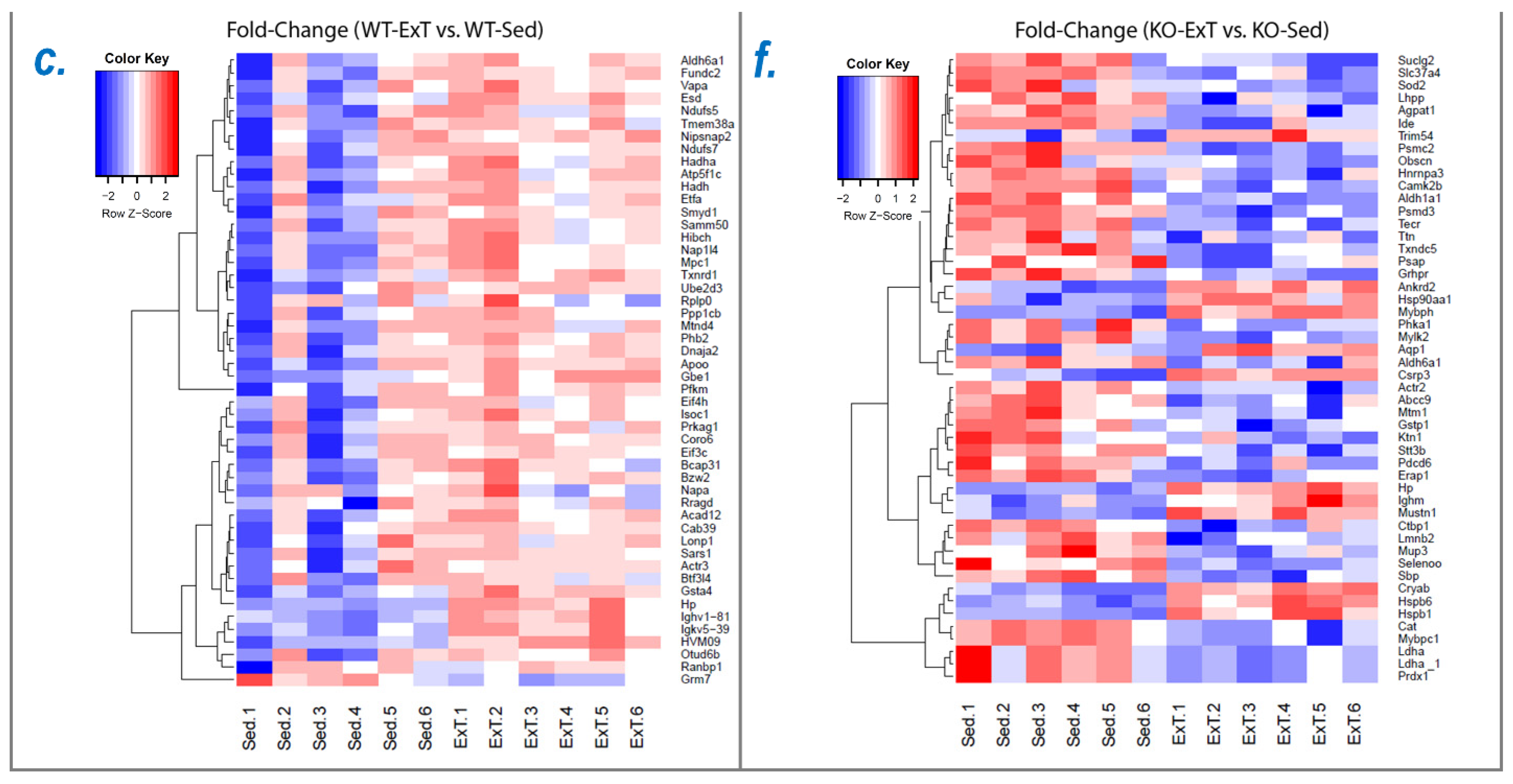 Antioxidants 12 00151 g003b