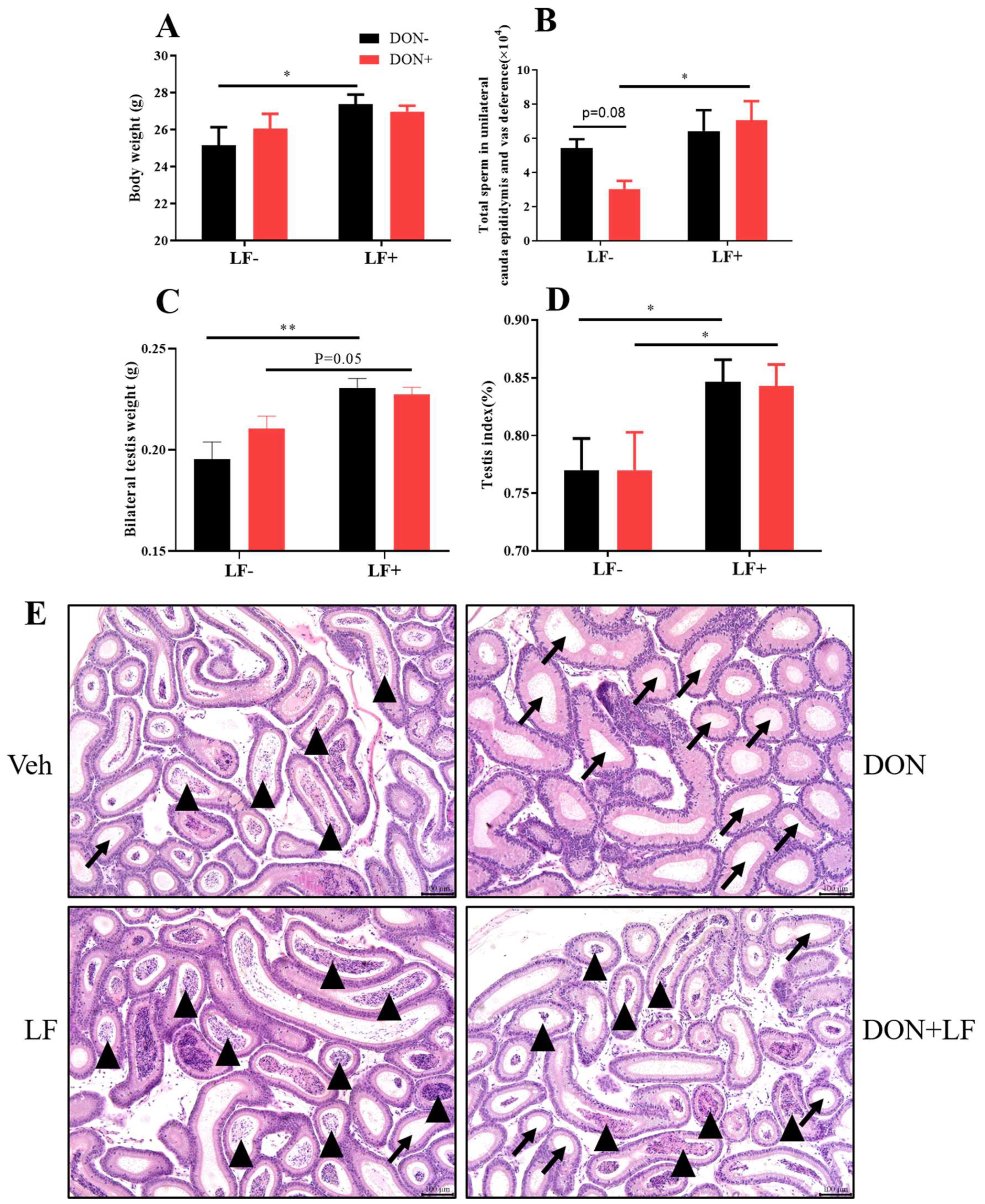 Antioxidants 12 00152 g001 Antioxidants 12 00152 g001