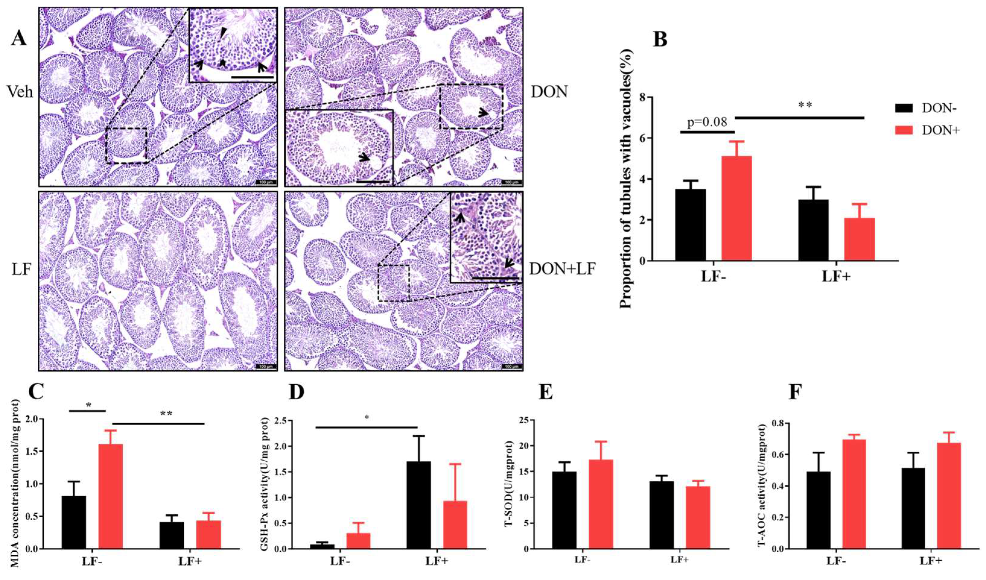 Antioxidants 12 00152 g002 Antioxidants 12 00152 g002