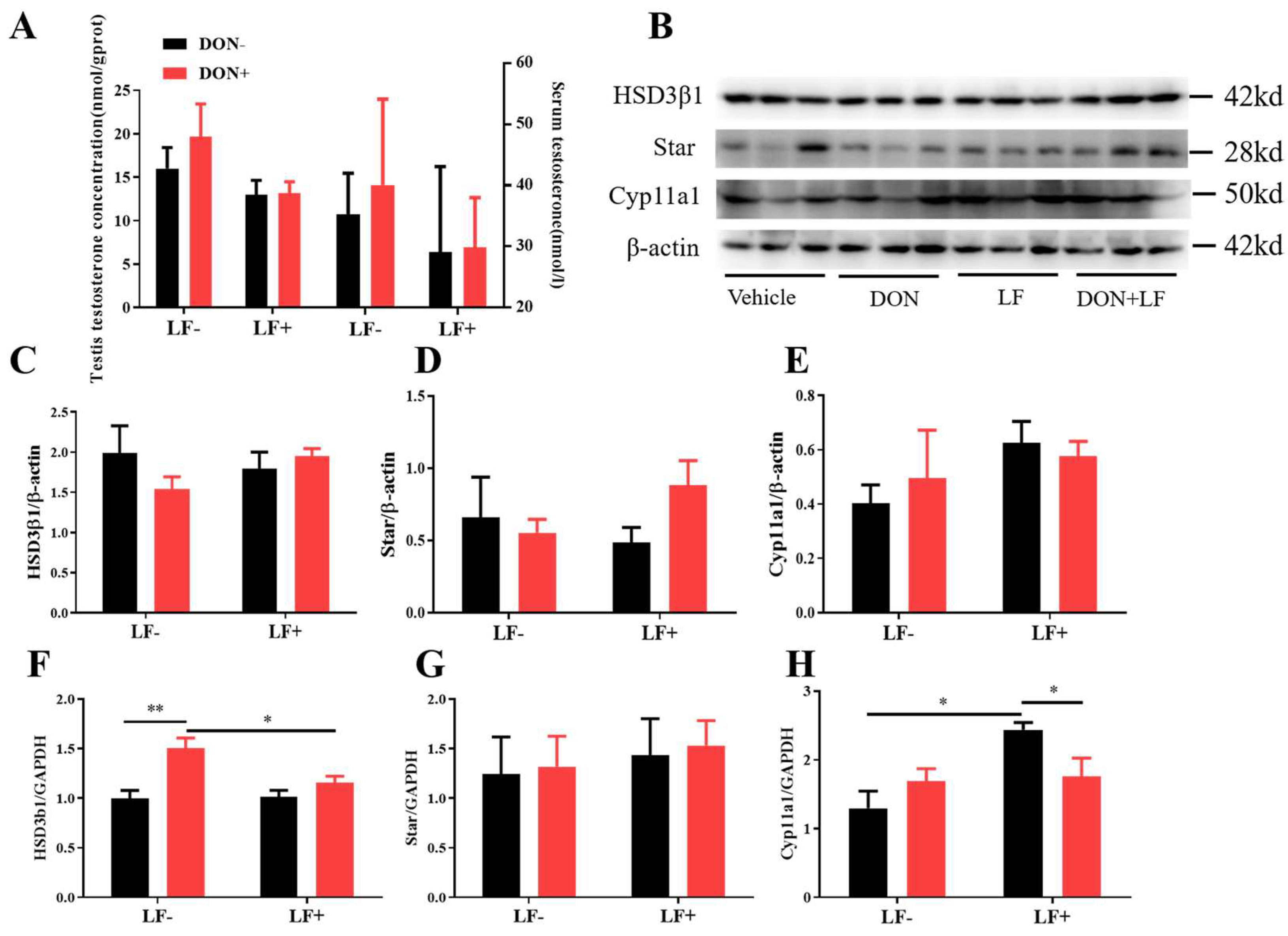 Antioxidants 12 00152 g003 Antioxidants 12 00152 g003