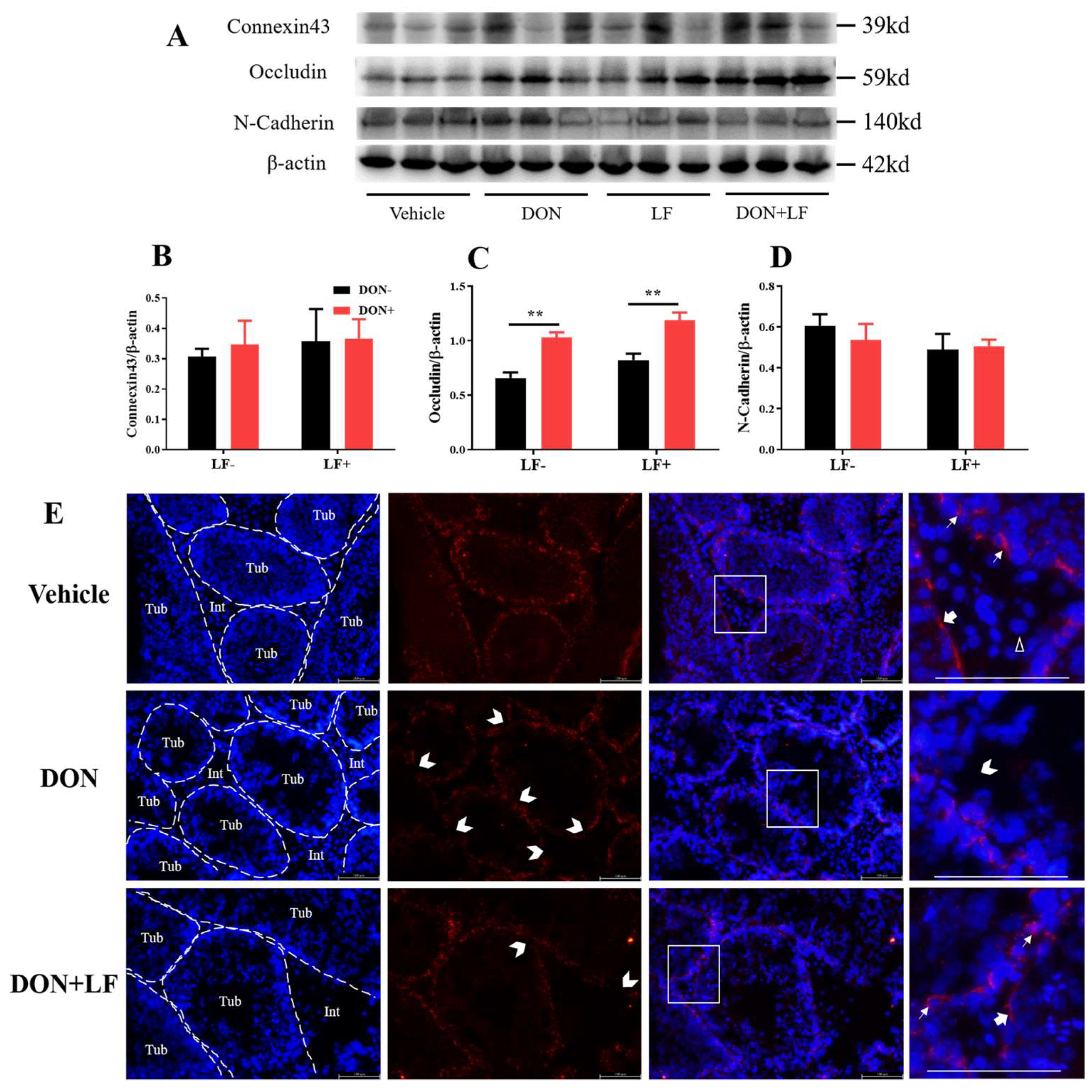 Antioxidants 12 00152 g004 Antioxidants 12 00152 g004