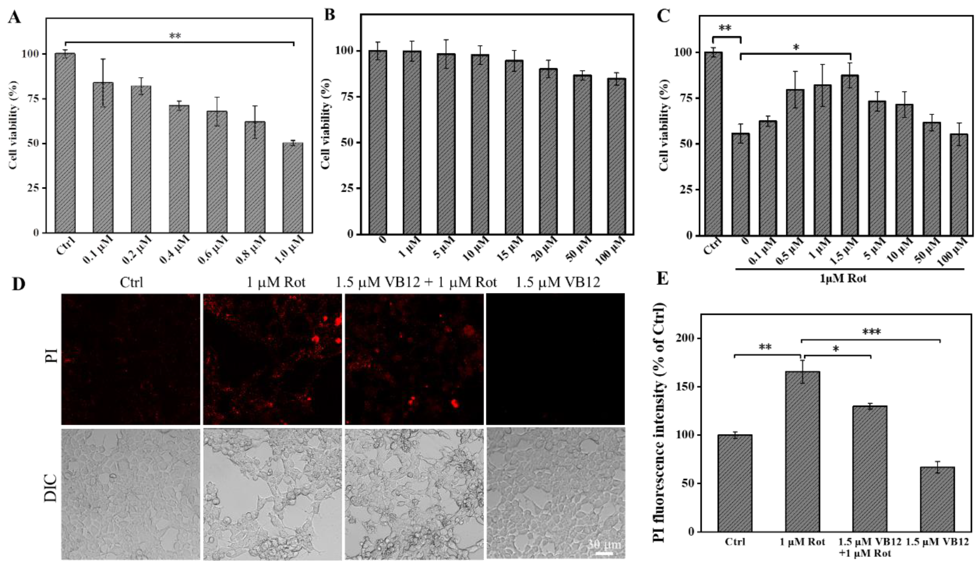 Antioxidants 12 00153 g001 Antioxidants 12 00153 g001