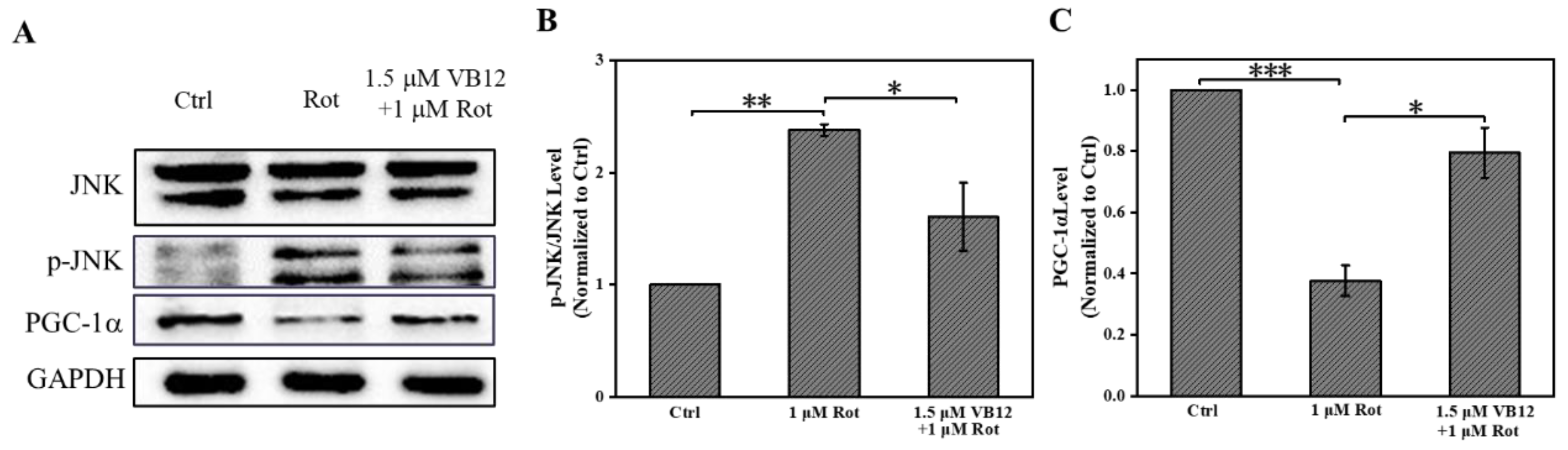 Antioxidants 12 00153 g004 Antioxidants 12 00153 g004
