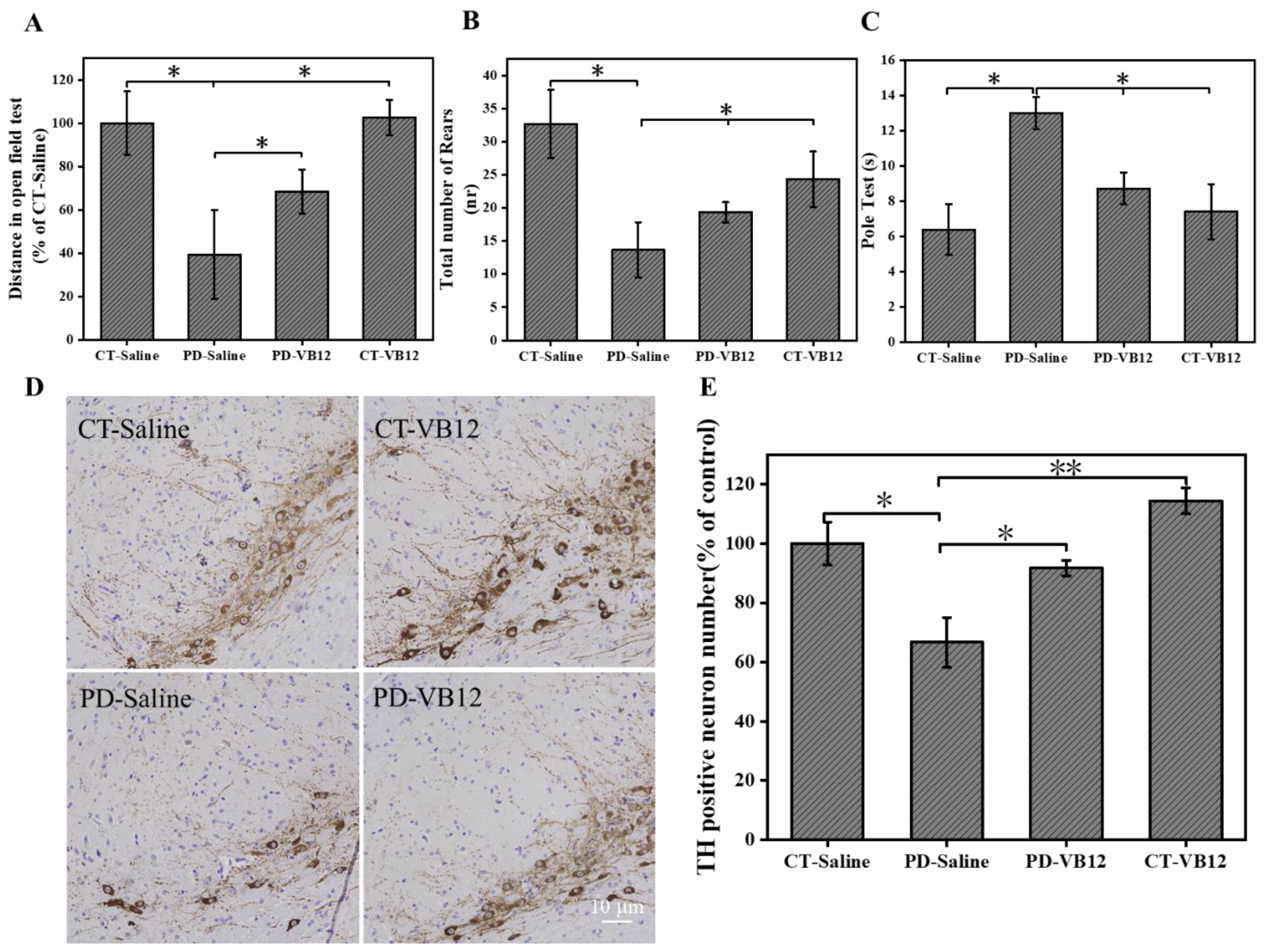 Antioxidants 12 00153 g006 Antioxidants 12 00153 g006