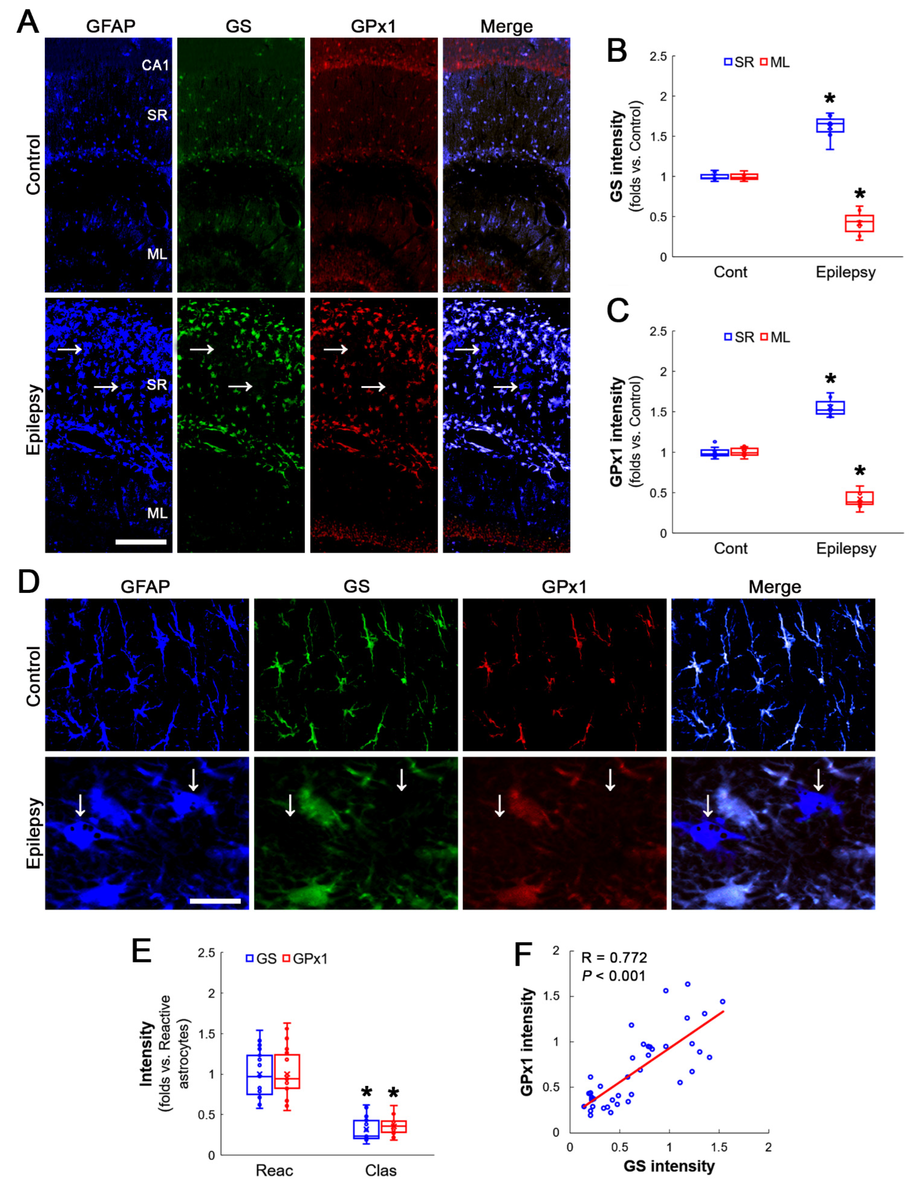 Antioxidants 12 00156 g001