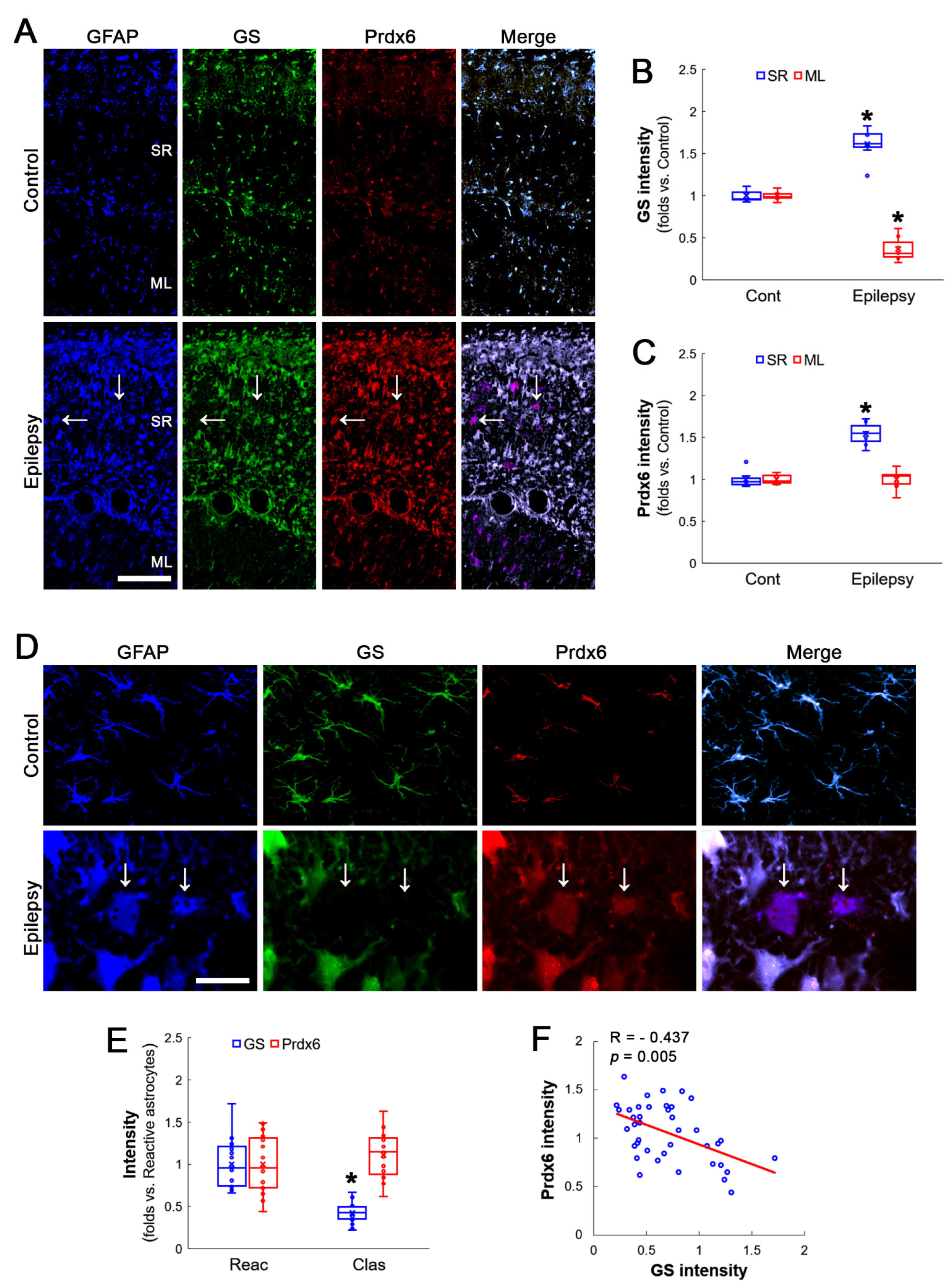 Antioxidants 12 00156 g002