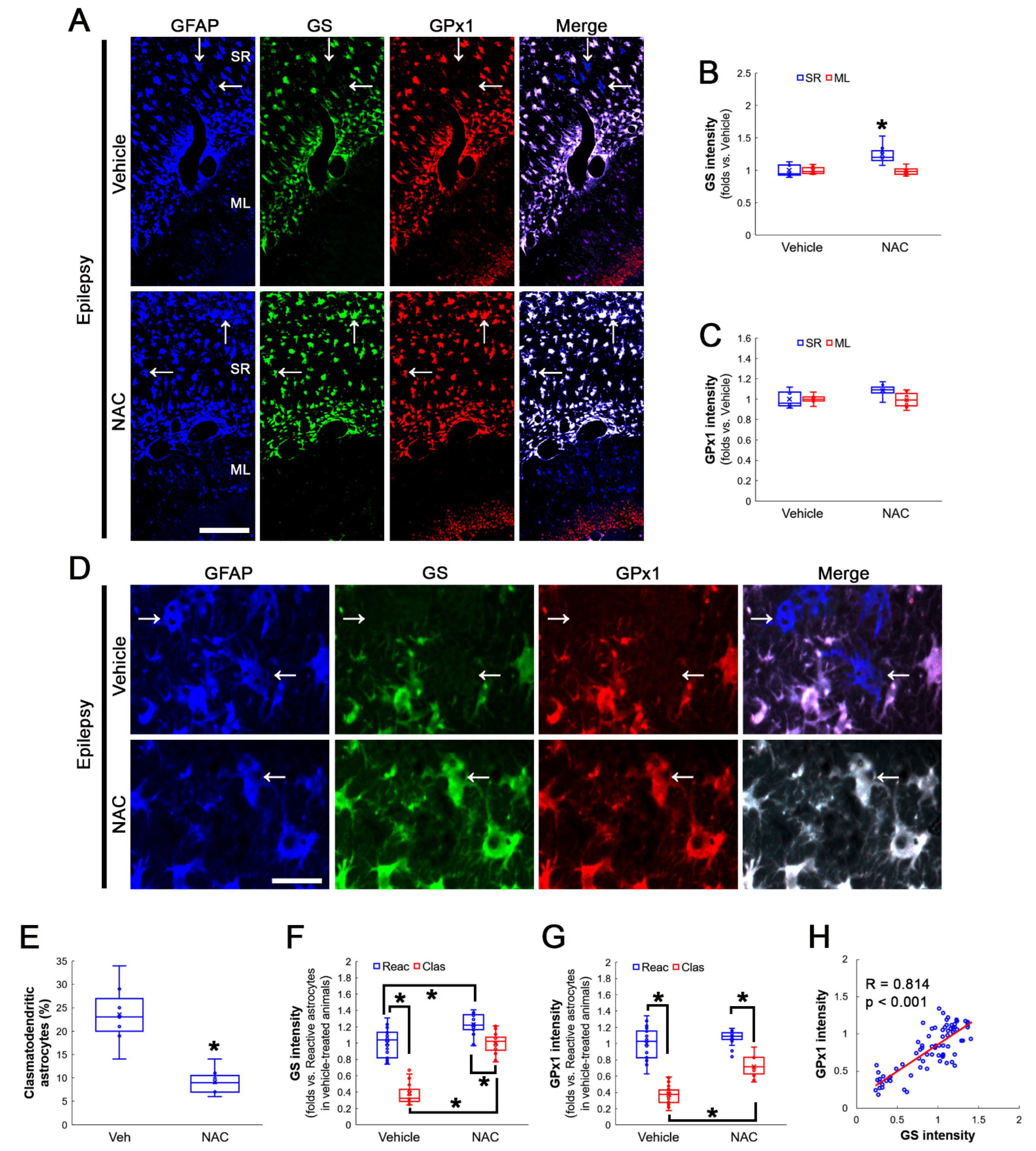 Antioxidants 12 00156 g003