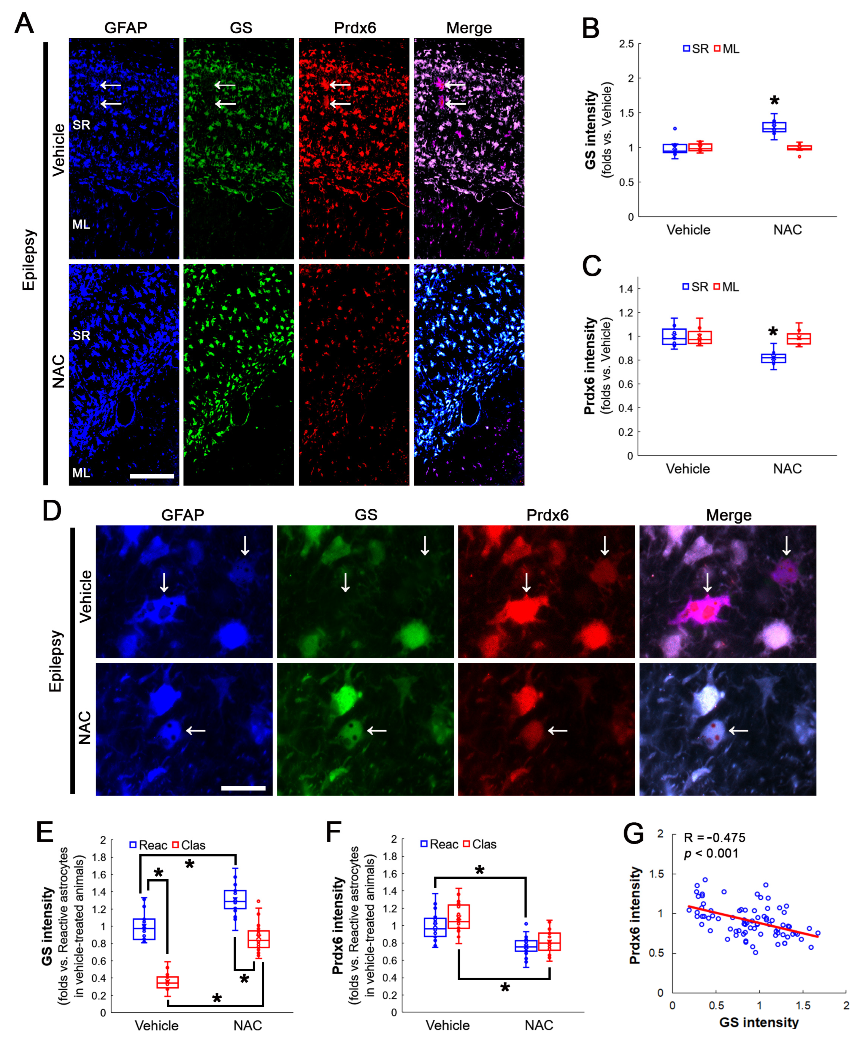 Antioxidants 12 00156 g004