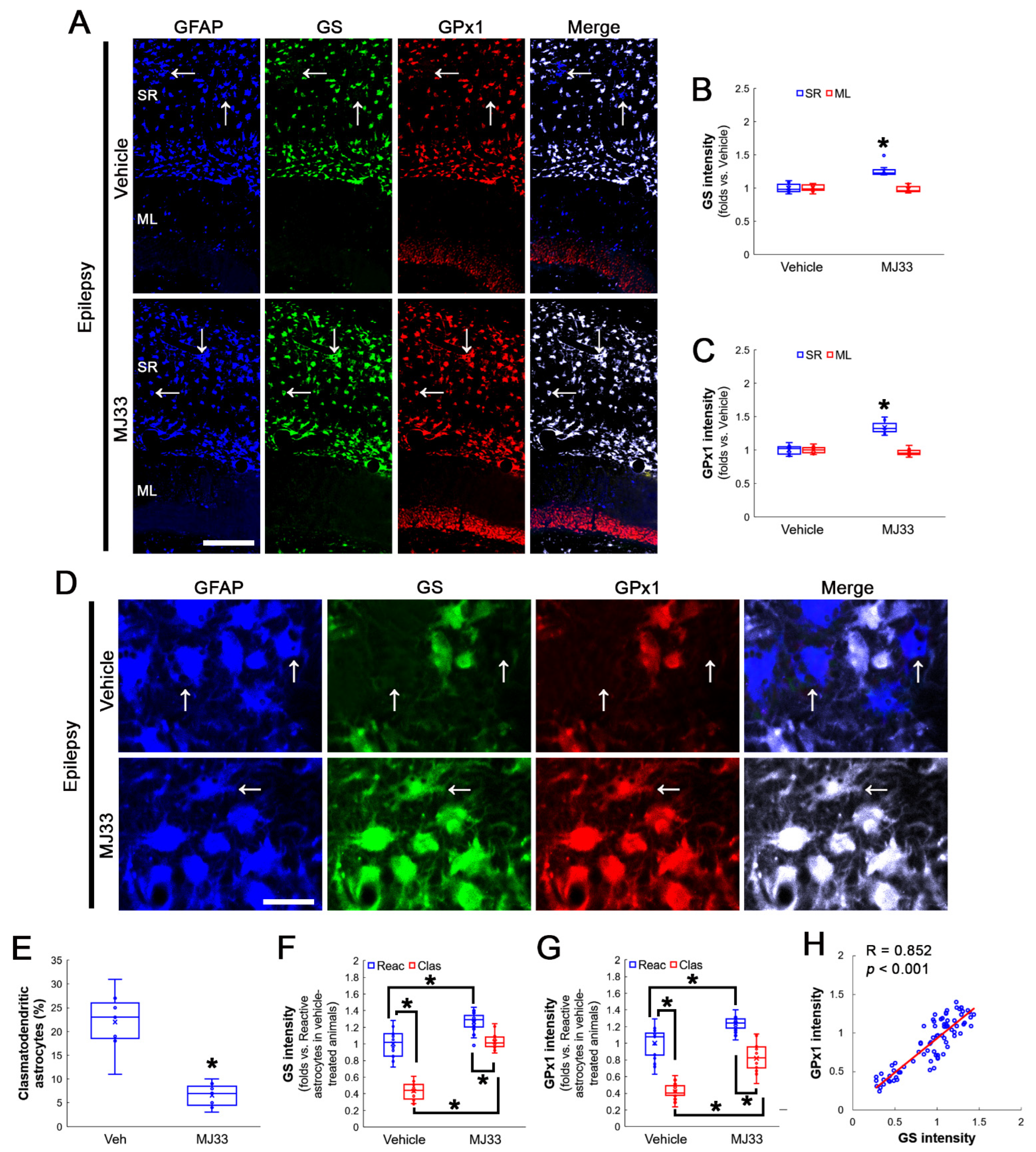 Antioxidants 12 00156 g005