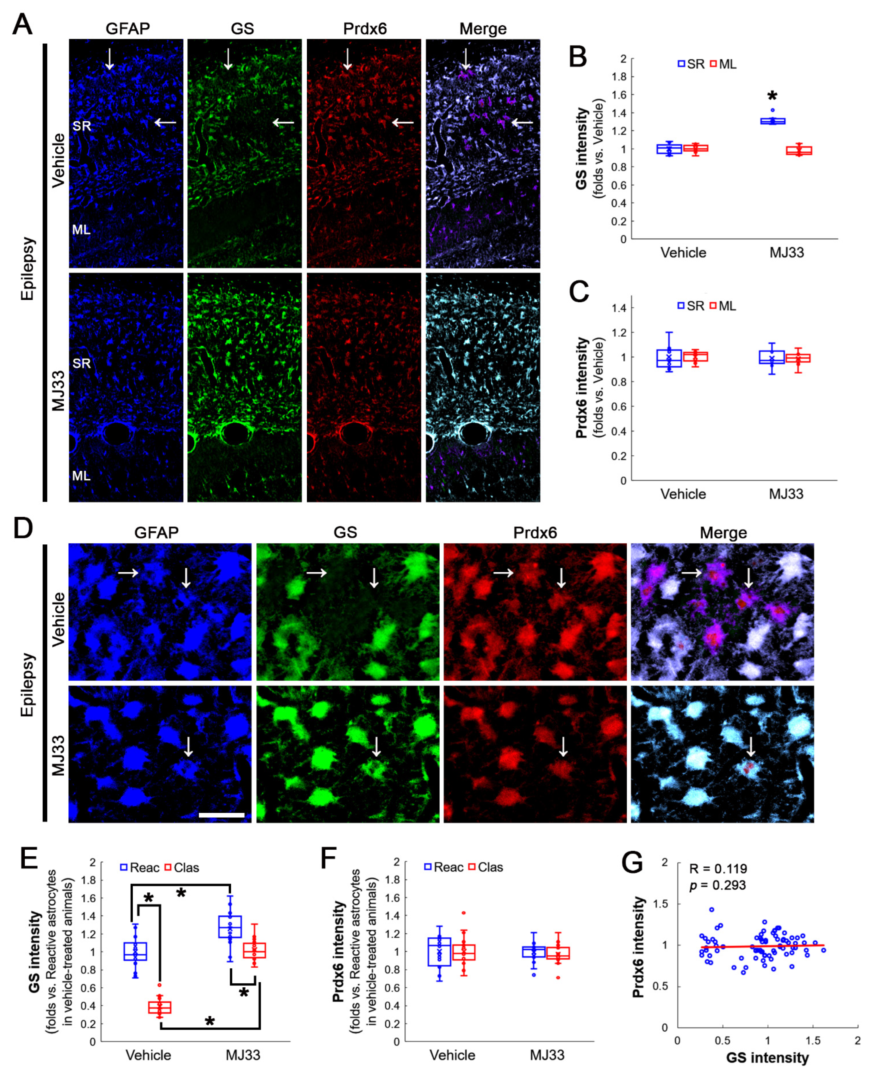 Antioxidants 12 00156 g006