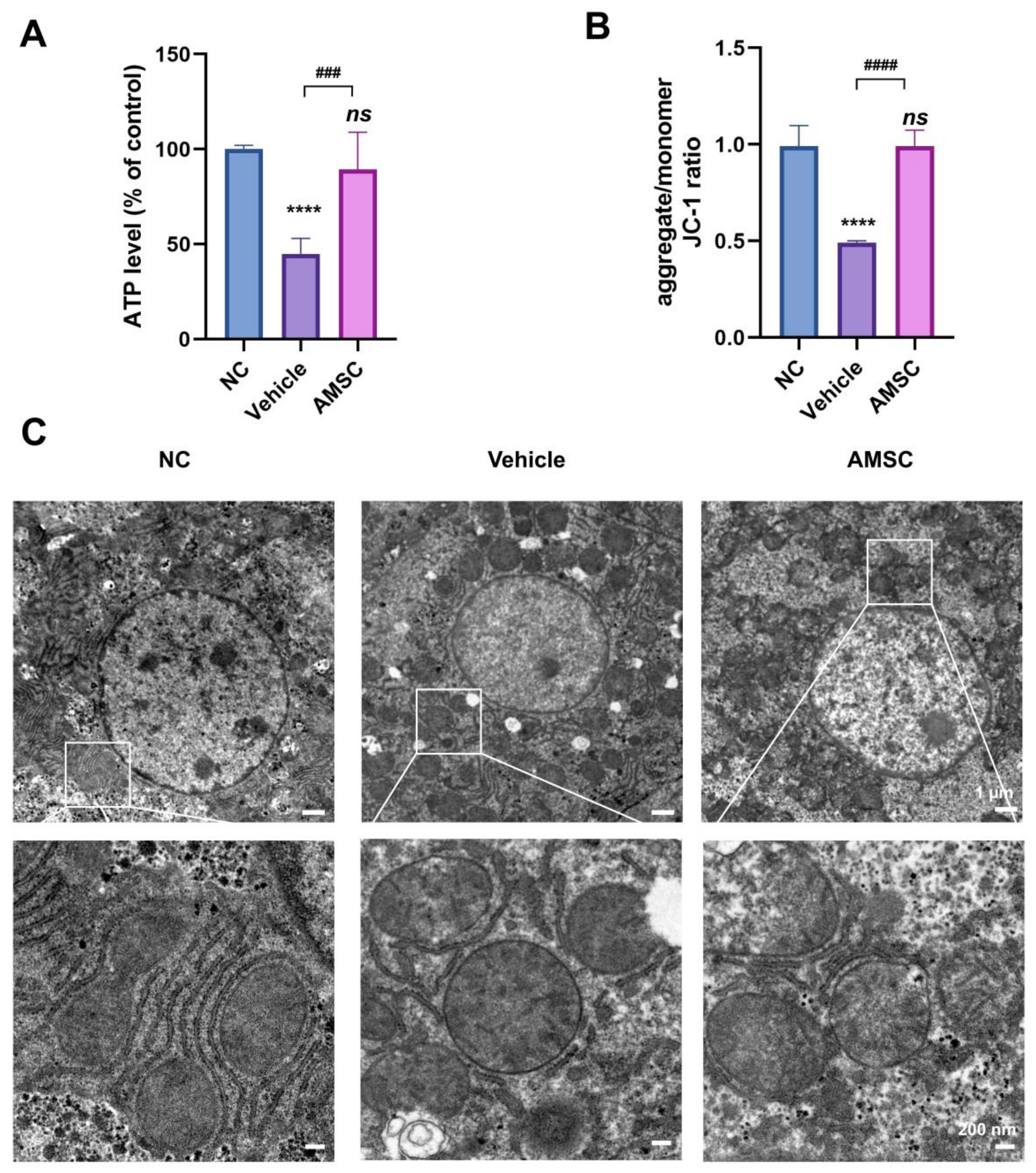 Antioxidants 12 00158 g002 Antioxidants 12 00158 g002