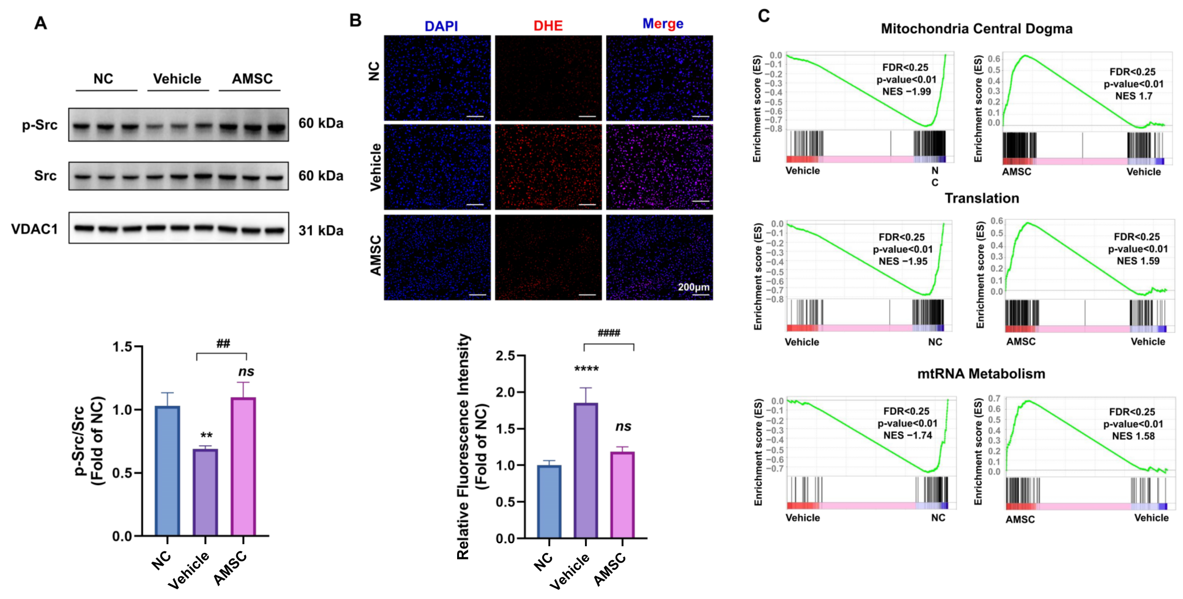 Antioxidants 12 00158 g006 Antioxidants 12 00158 g006