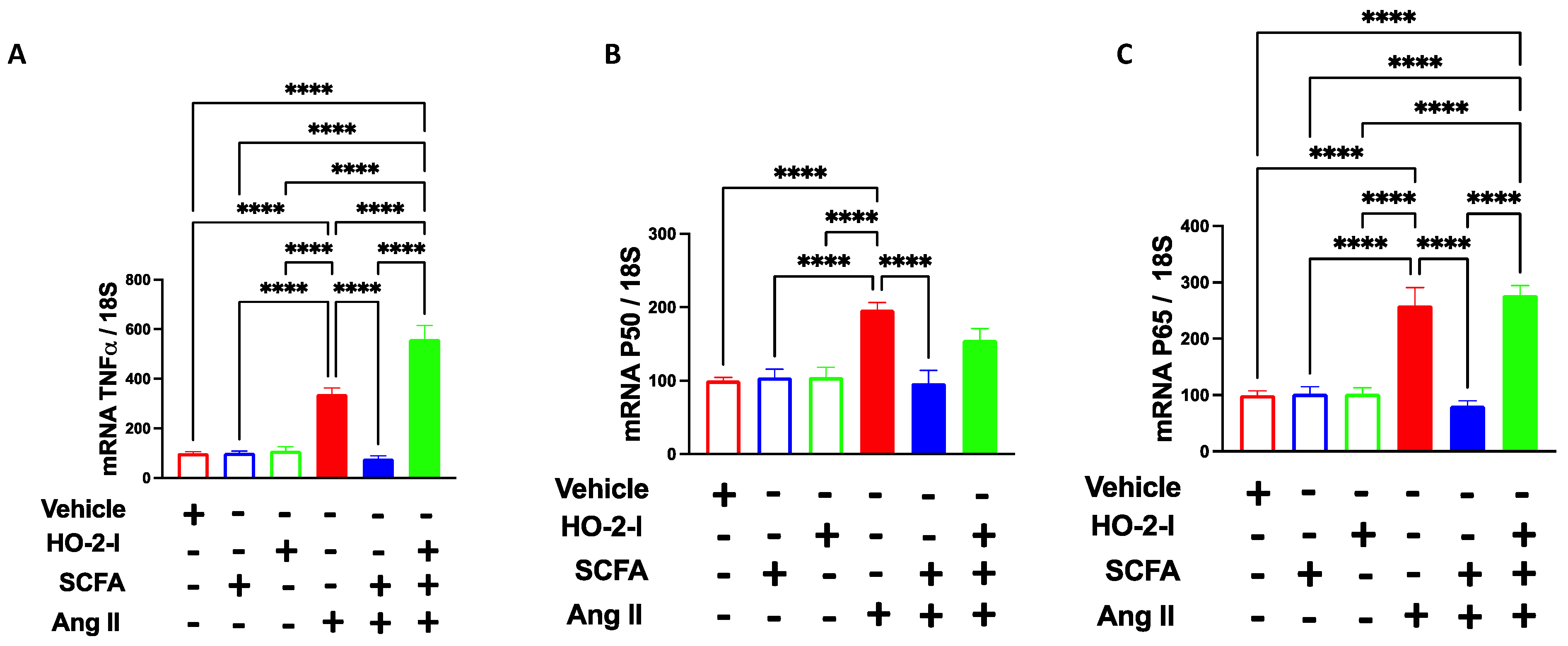 Antioxidants 12 00160 g003