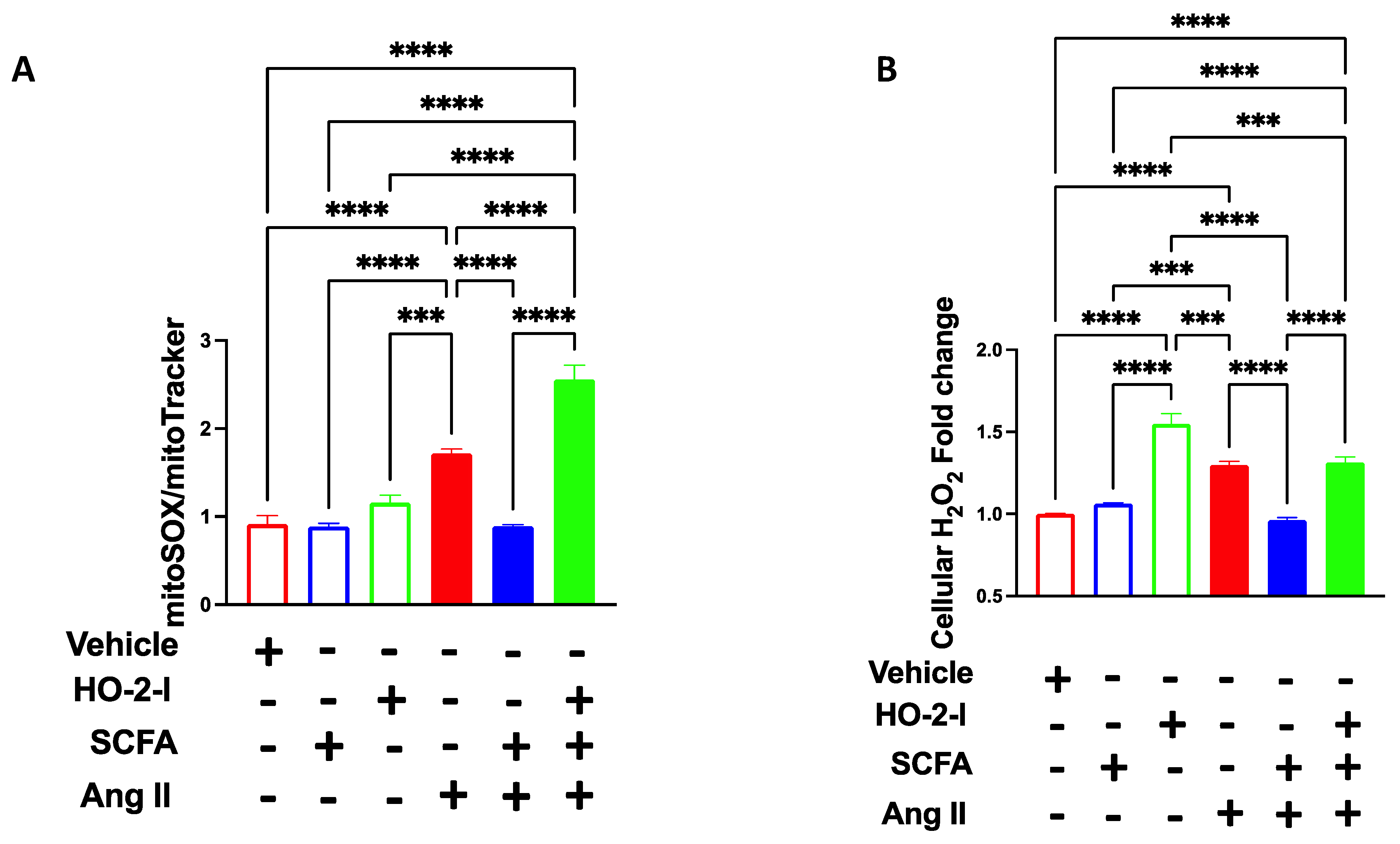 Antioxidants 12 00160 g006