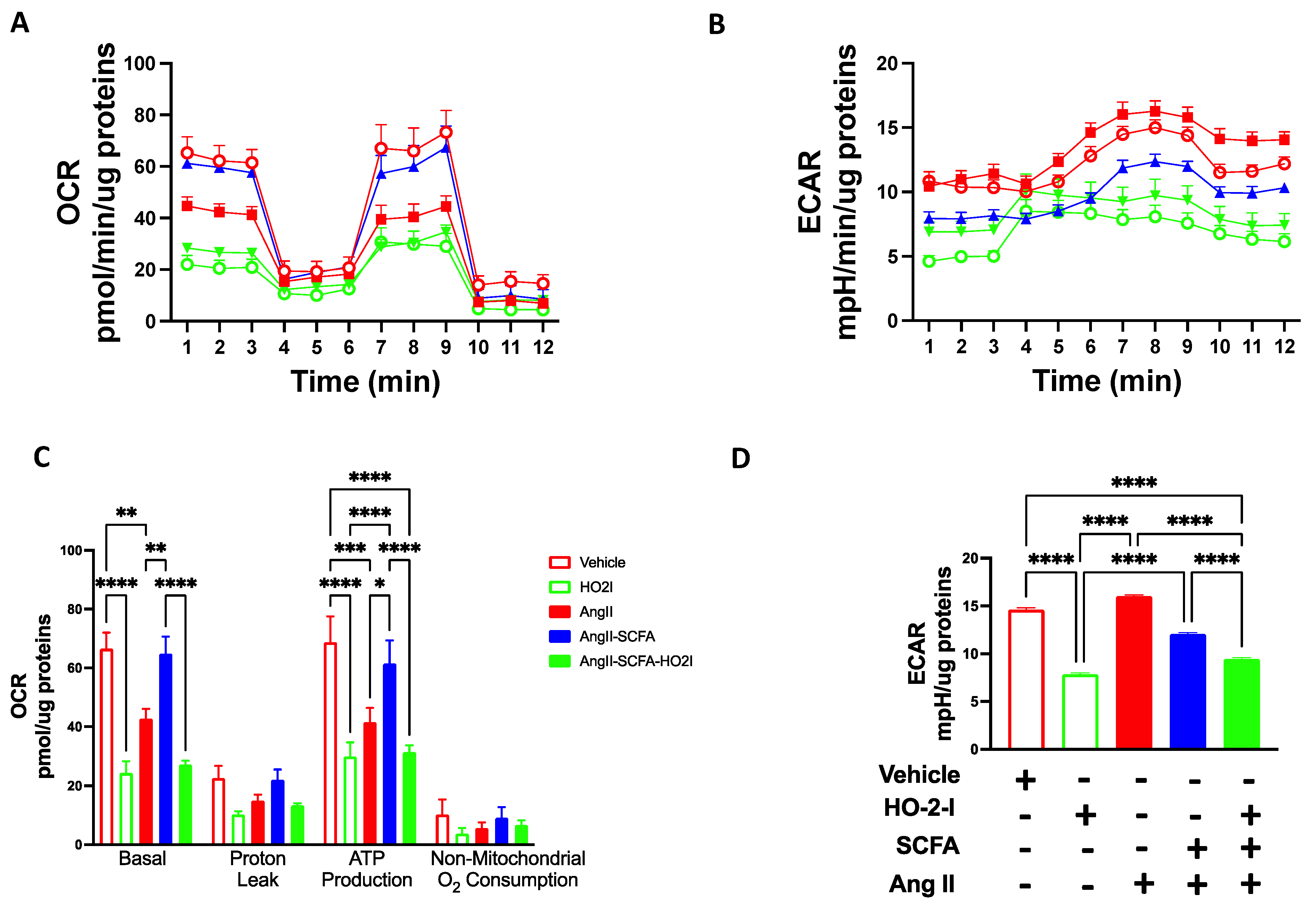 Antioxidants 12 00160 g007
