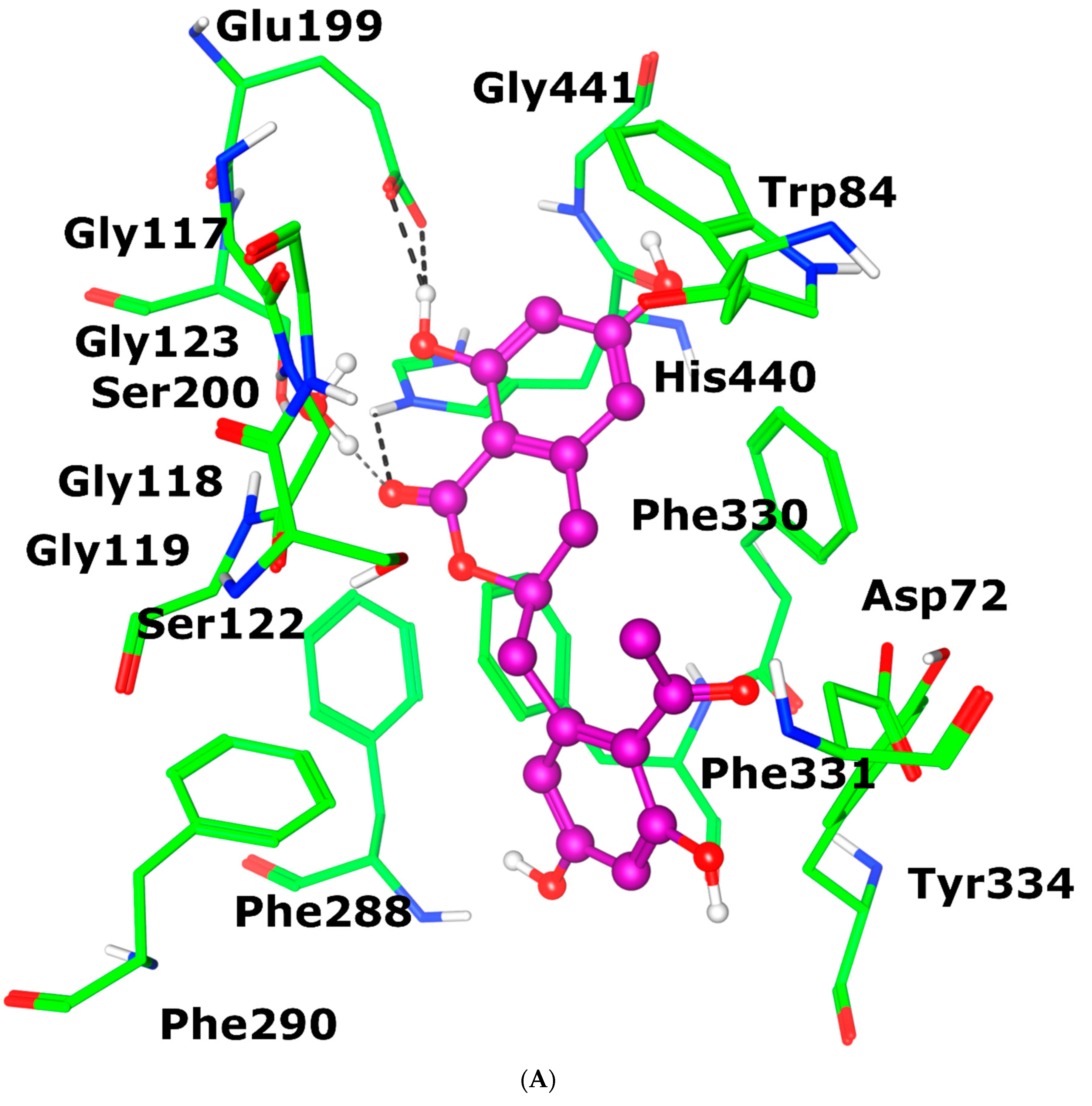 Antioxidants 12 00161 g006a Antioxidants 12 00161 g006a