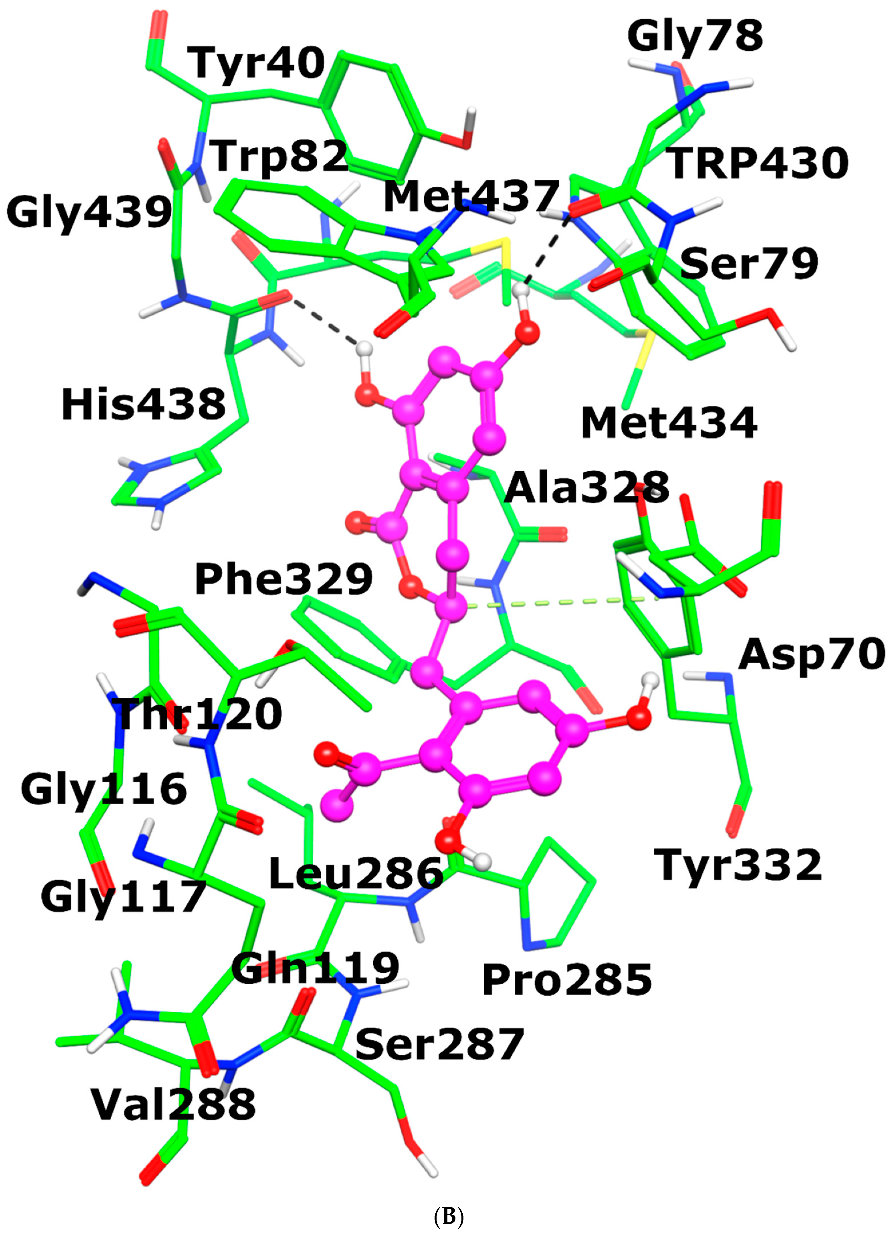 Antioxidants 12 00161 g006b Antioxidants 12 00161 g006b