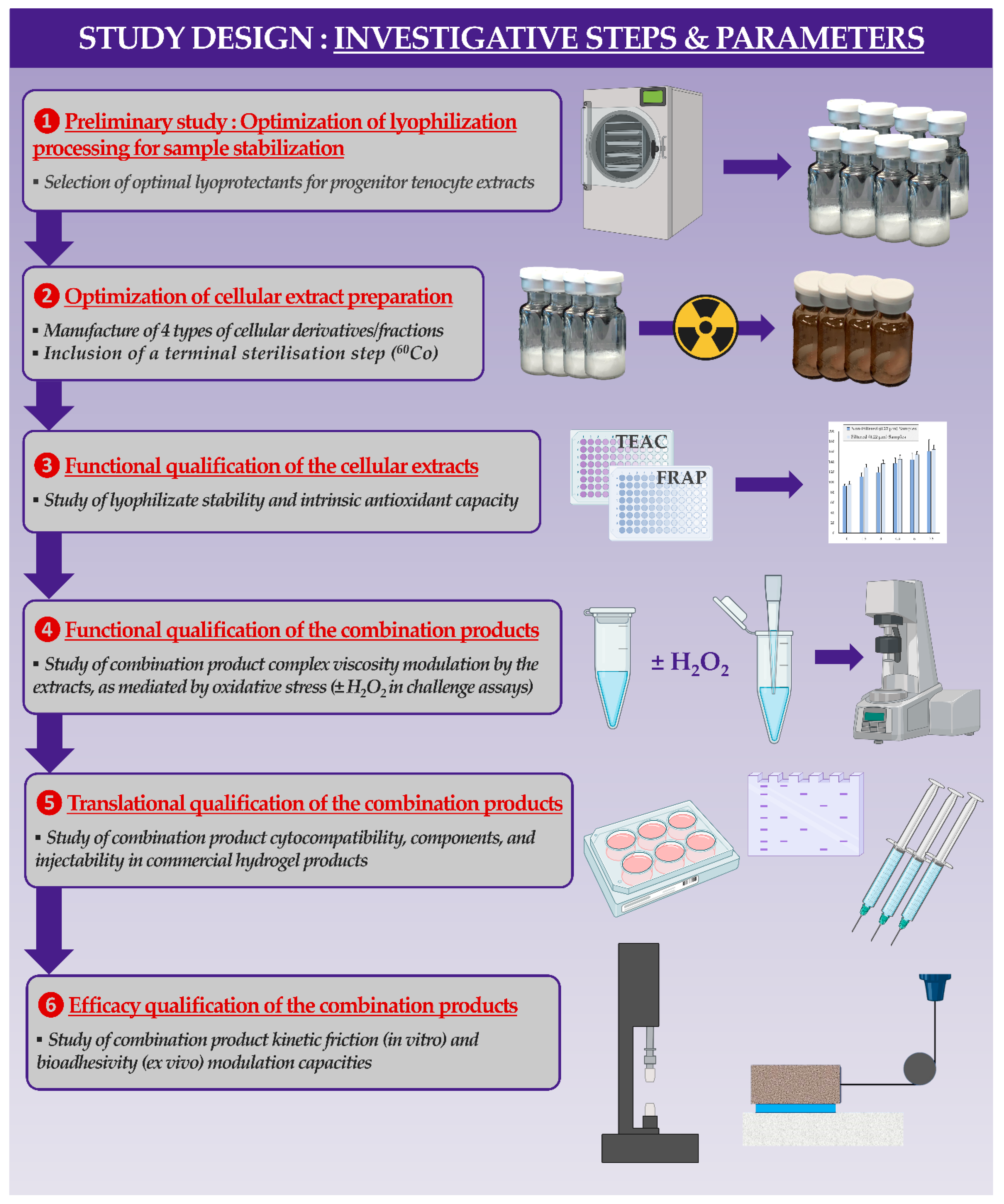 Antioxidants 12 00163 g0a1 Antioxidants 12 00163 g0a1