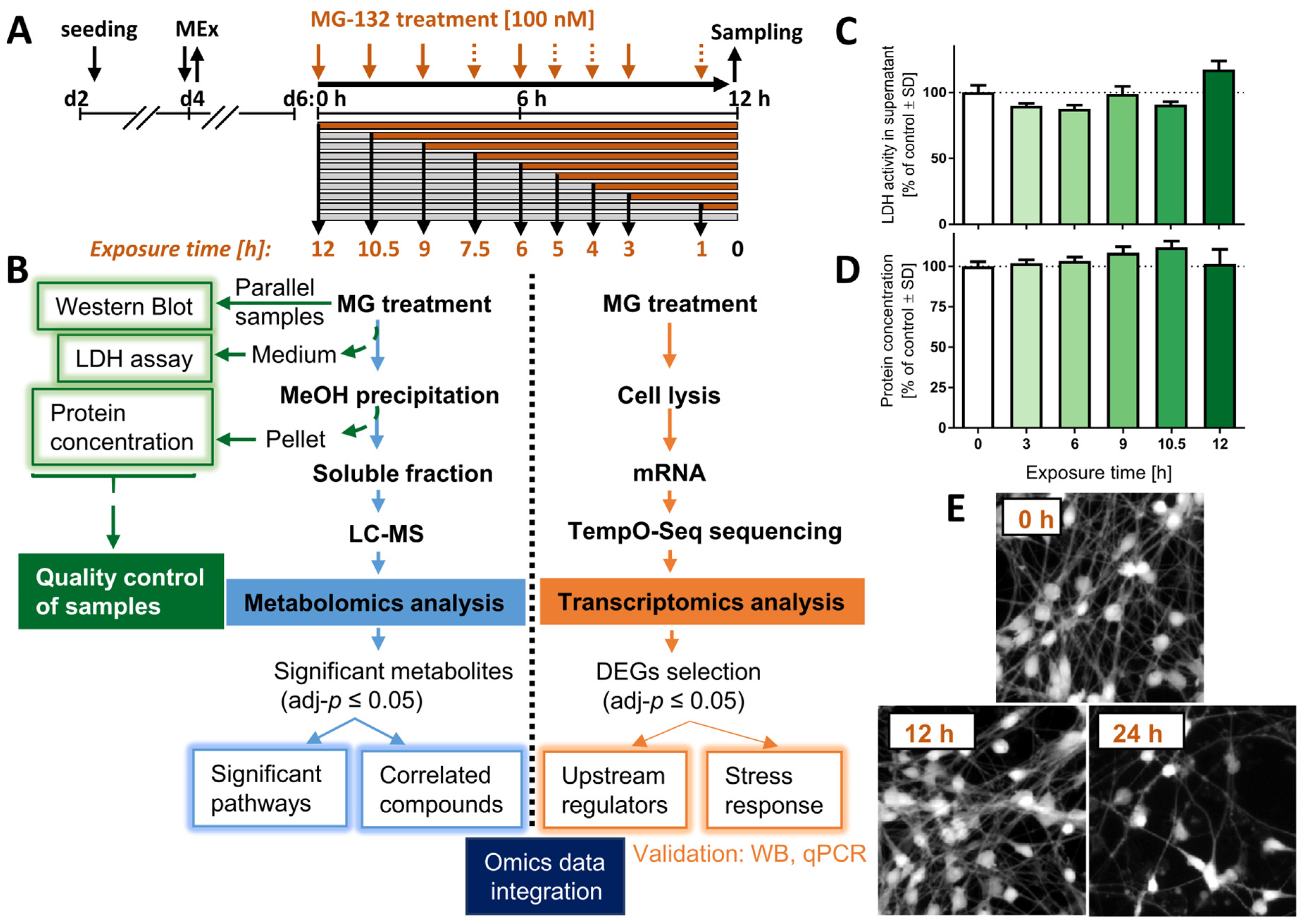 Antioxidants 12 00164 g001 Antioxidants 12 00164 g001