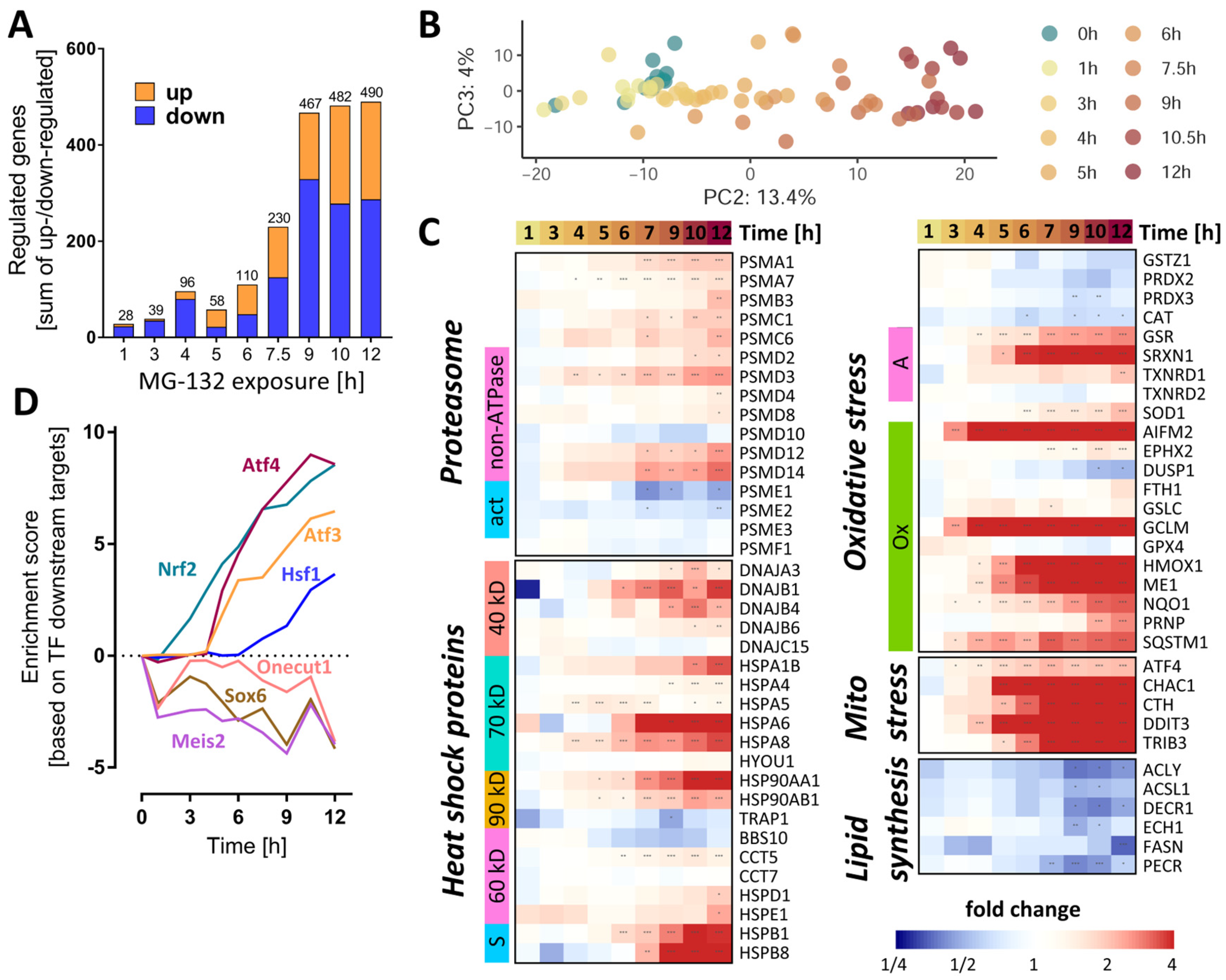 Antioxidants 12 00164 g004 Antioxidants 12 00164 g004