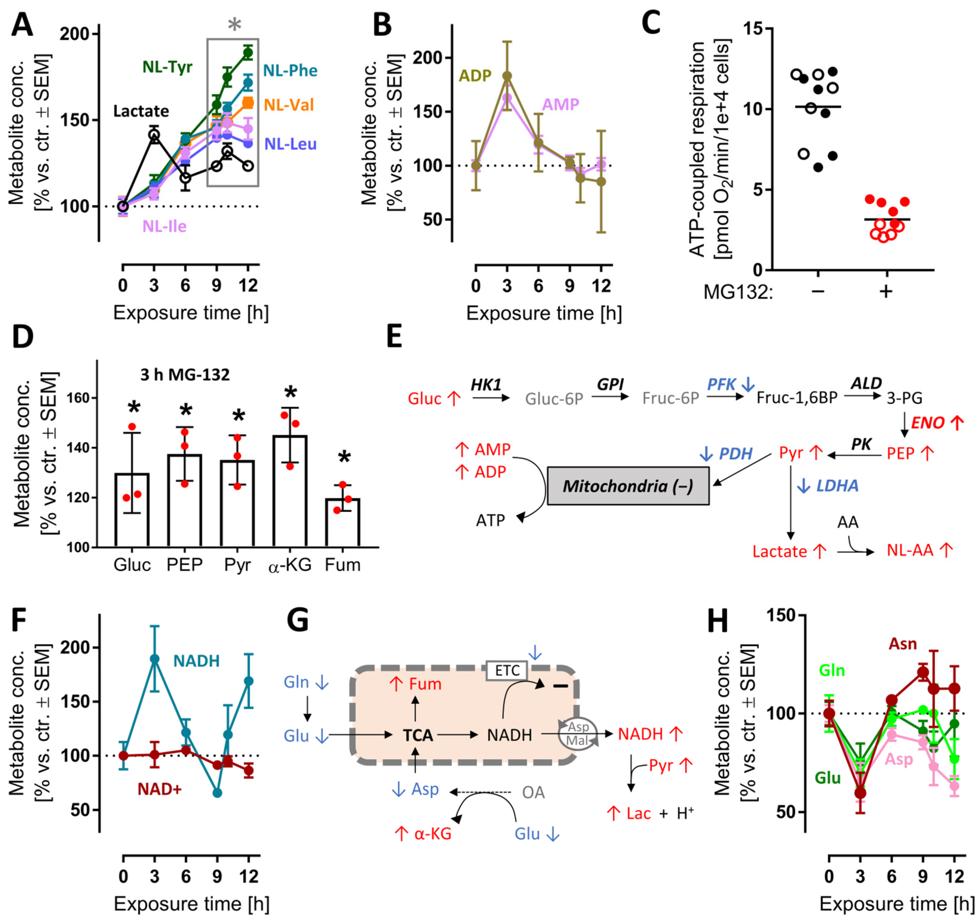 Antioxidants 12 00164 g005 Antioxidants 12 00164 g005