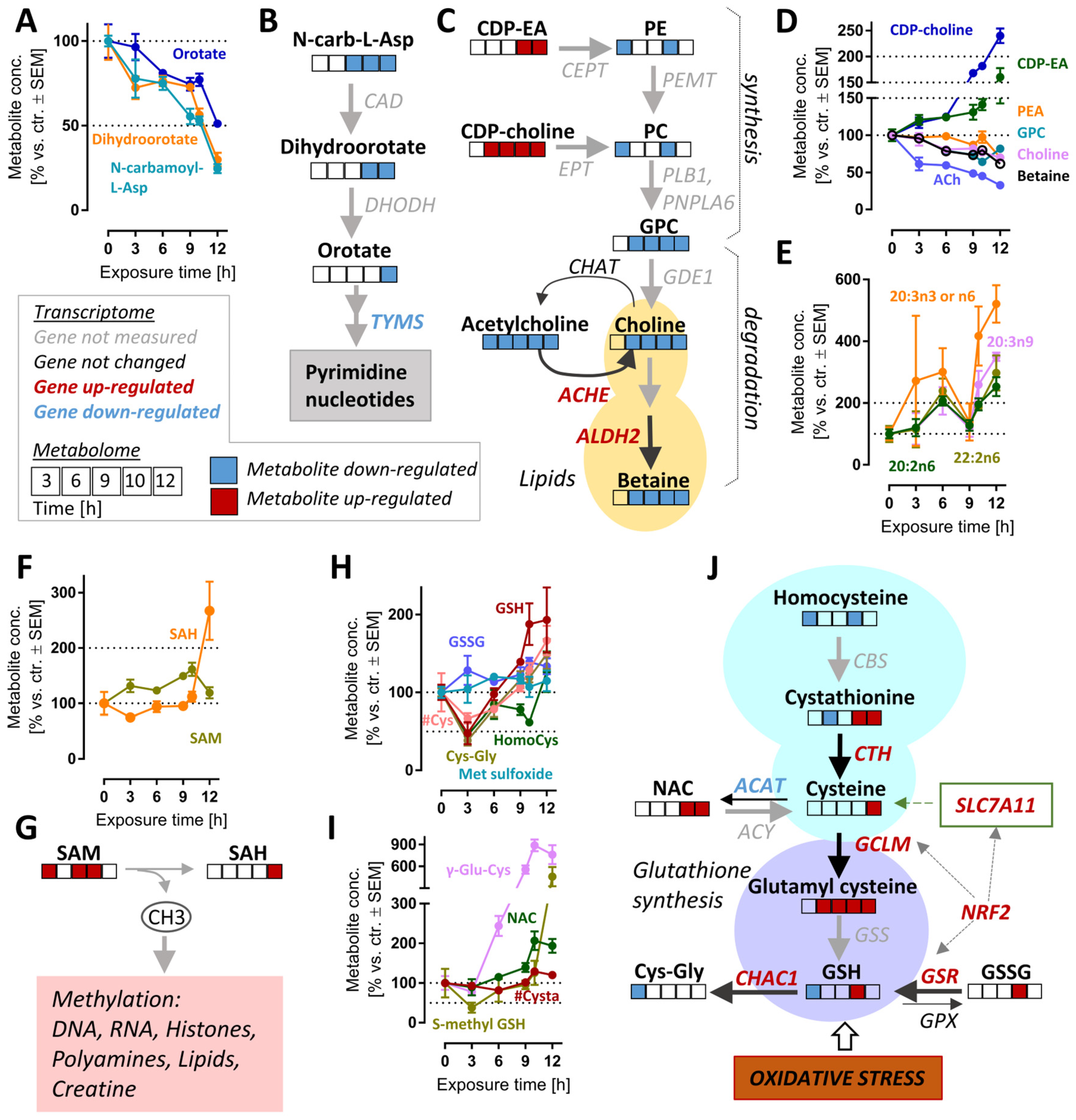 Antioxidants 12 00164 g006 Antioxidants 12 00164 g006
