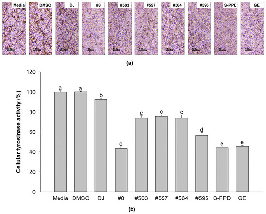 Protopanaxadiol-Enriched Rice Extracts Suppressed Oxidative