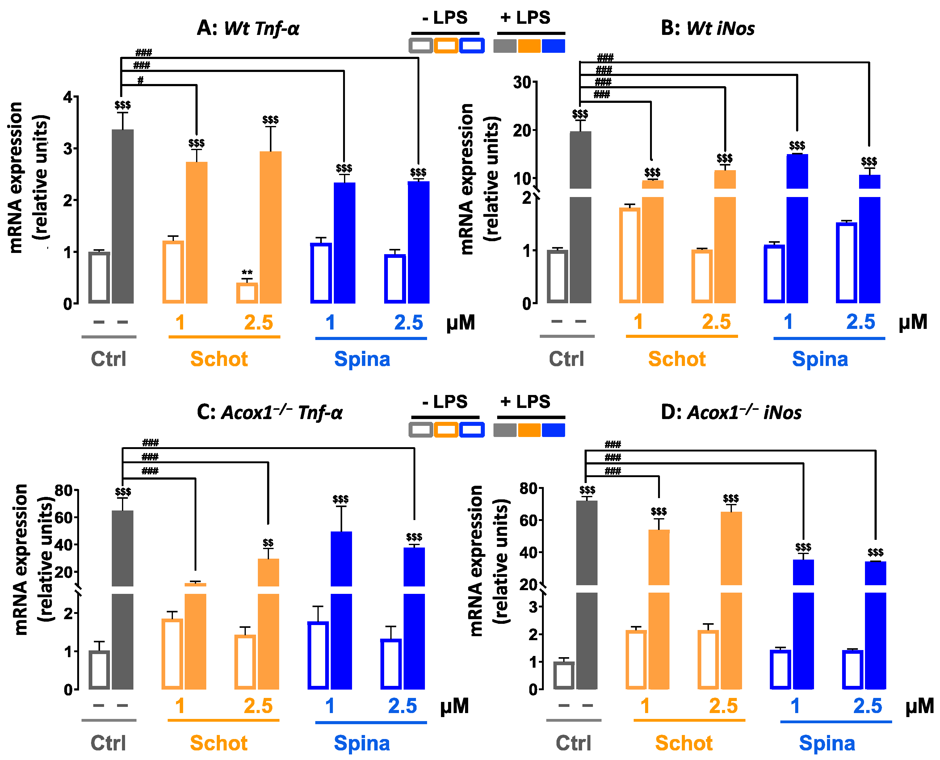 Antioxidants 12 00168 g009 Antioxidants 12 00168 g009